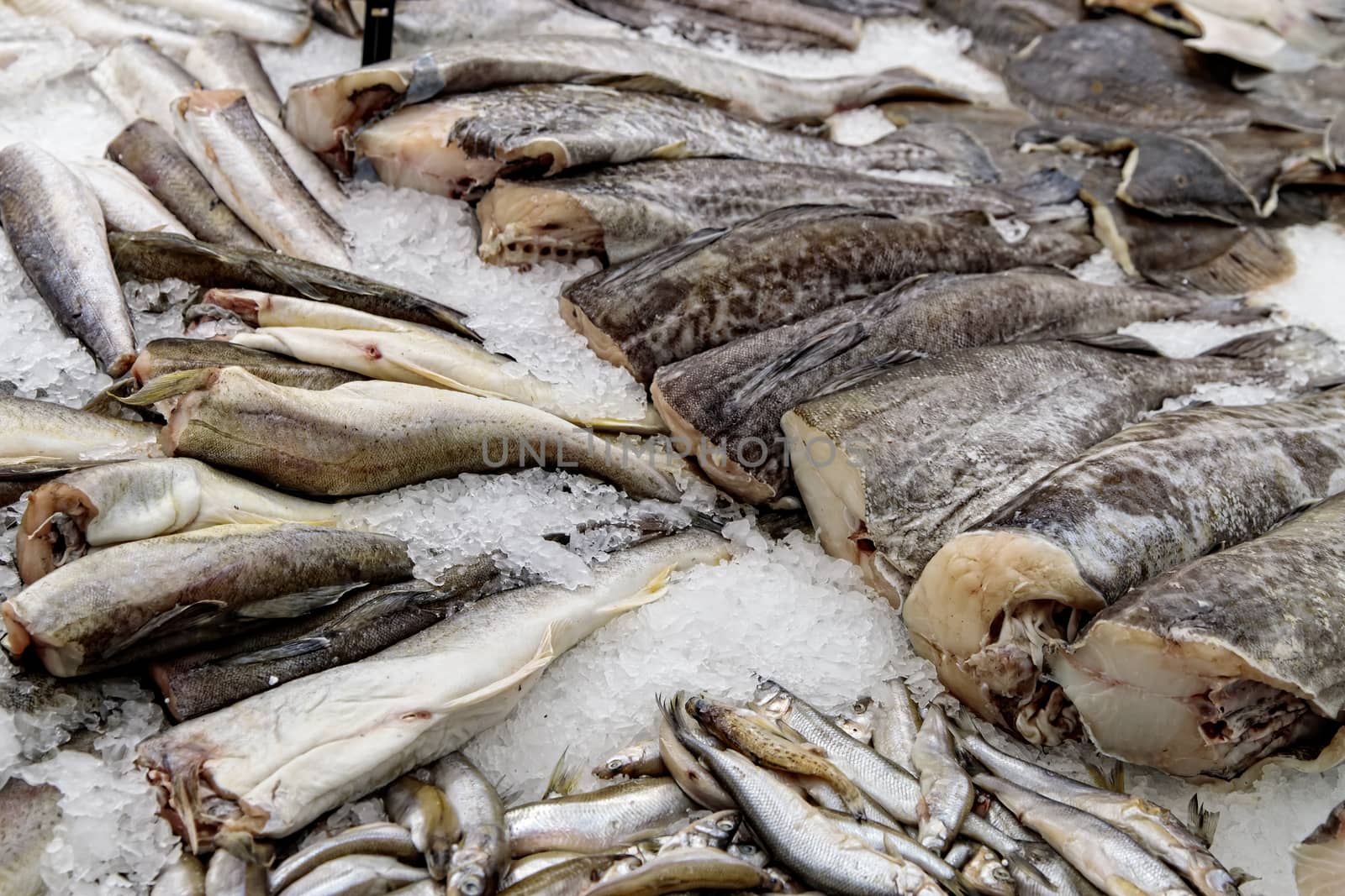 Fish exposed in fish market for sale to the consumer by bonilook