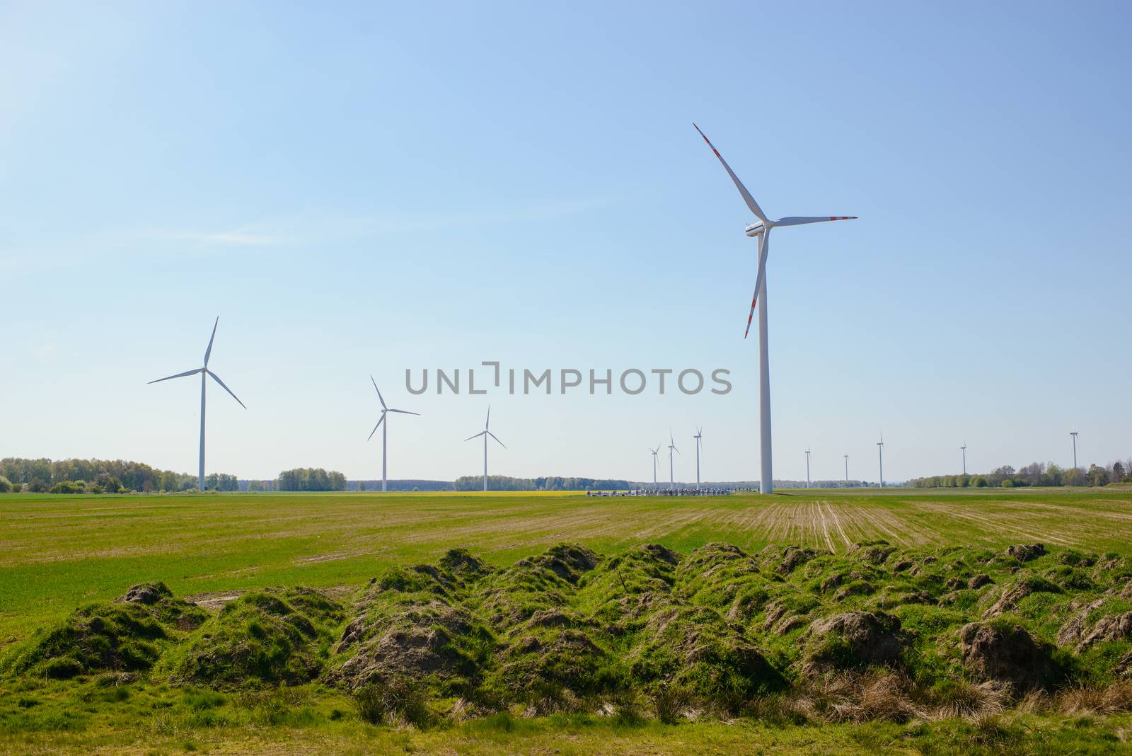 Bright blue sky moving and wind turbine.