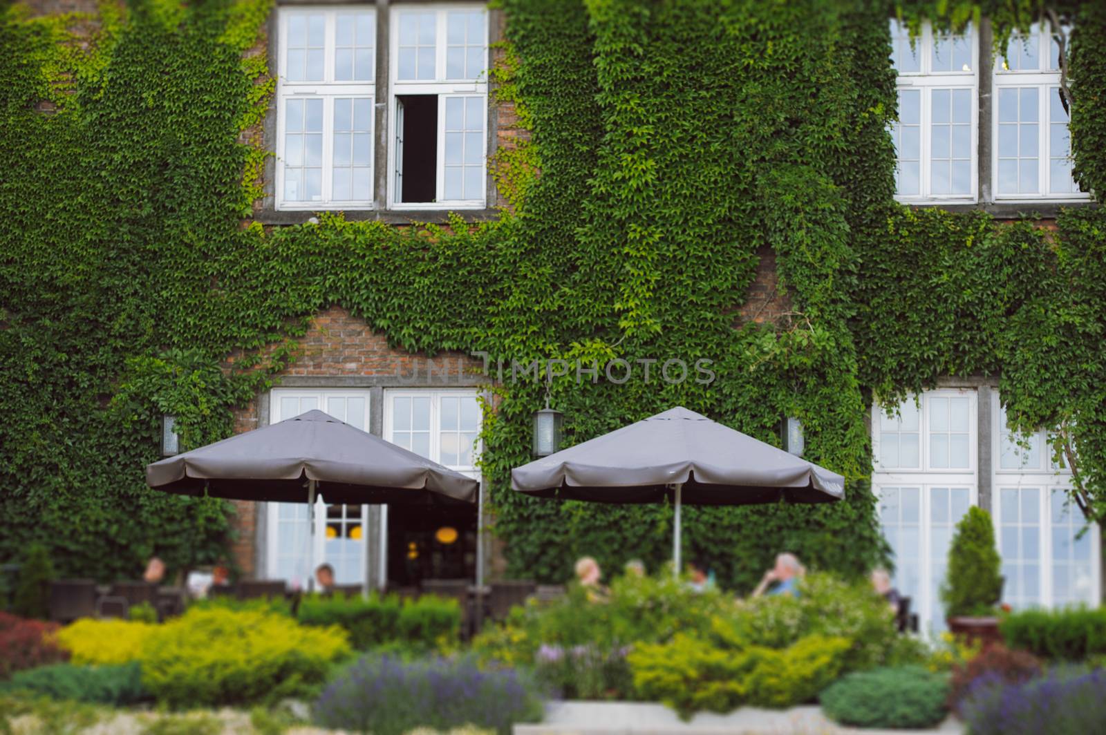 Interior of a summer terrace of restaurant.