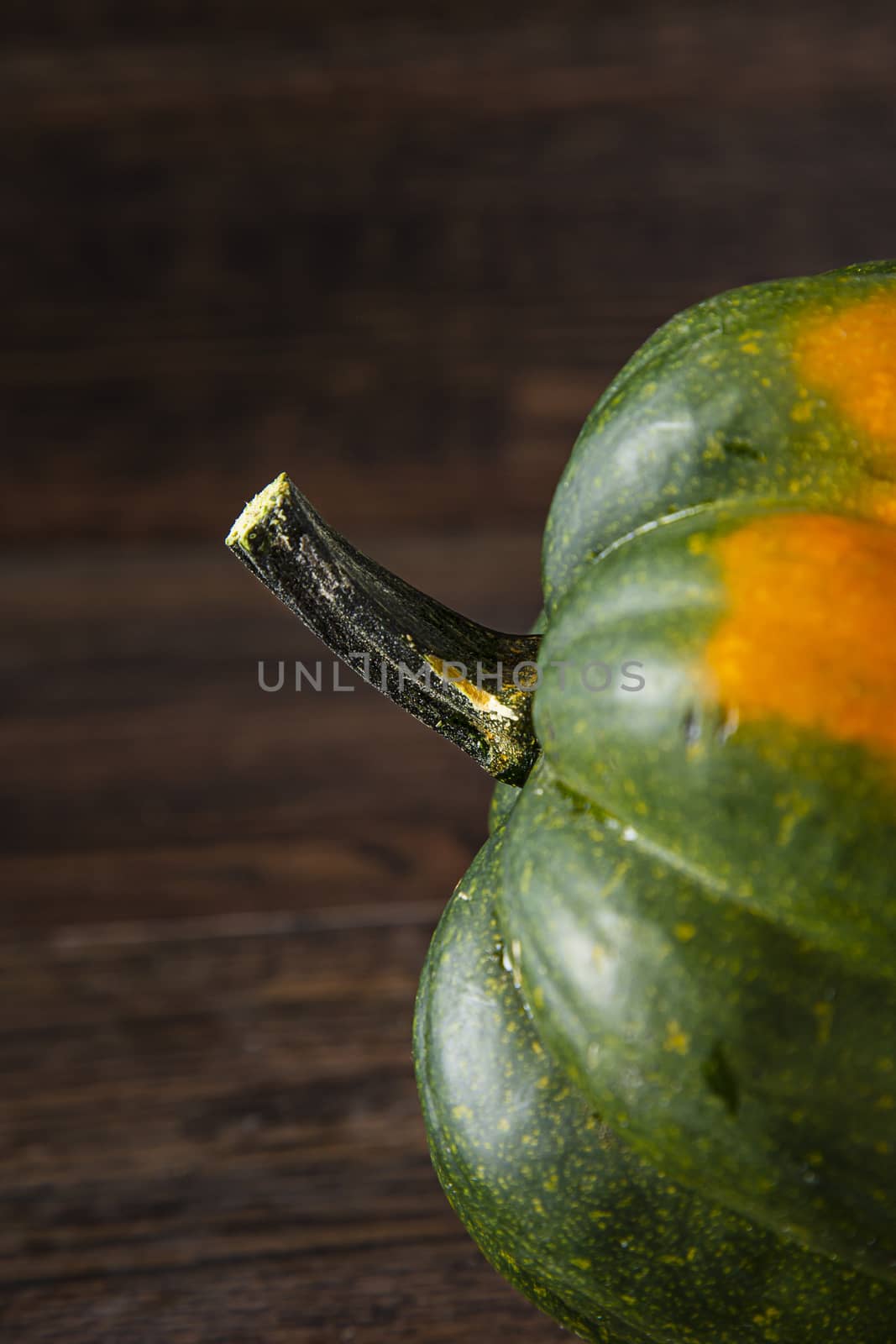 close up of a green squash by mypstudio