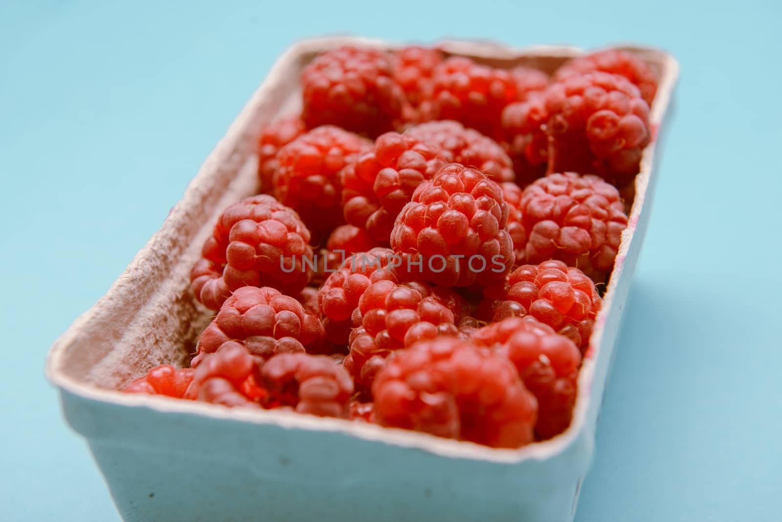 box of fresh raspberries on a blue background