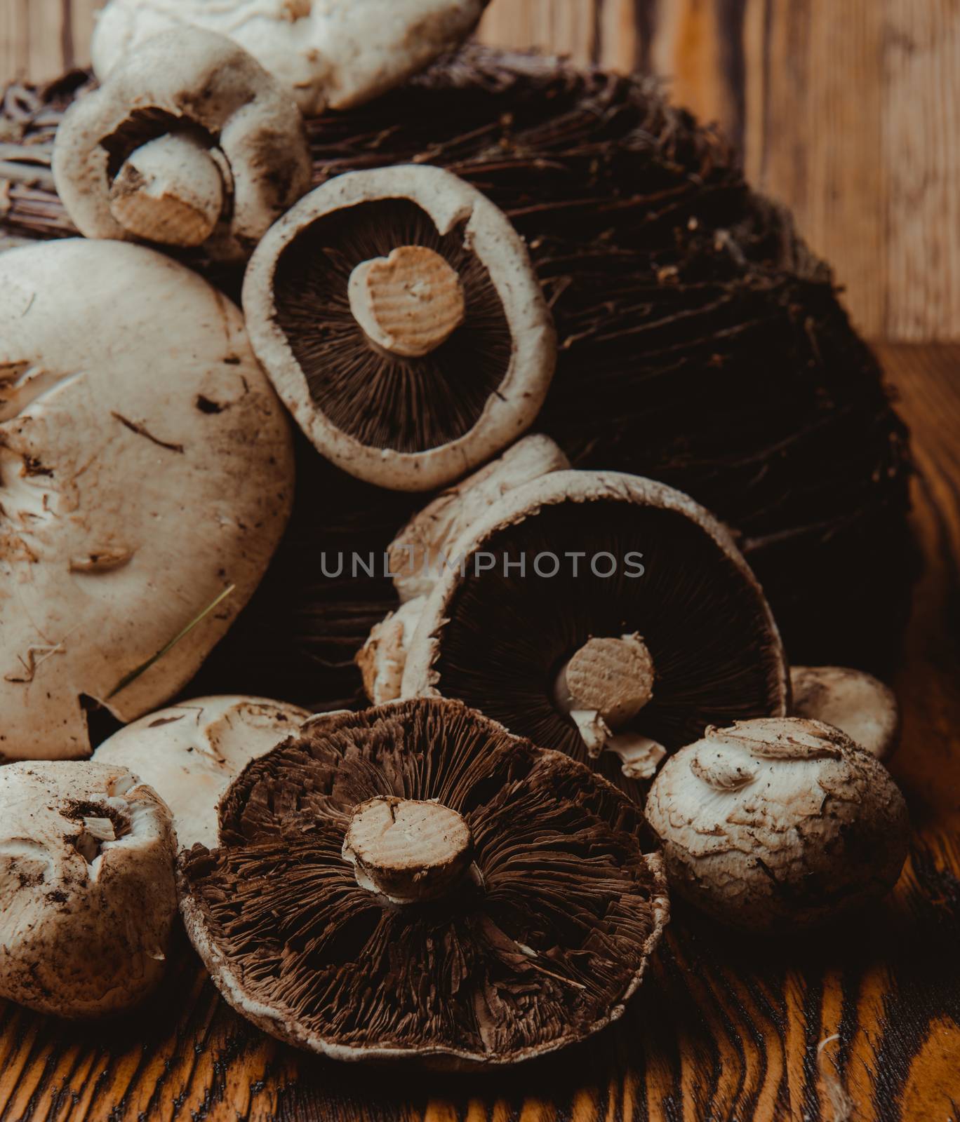 composition poured olive oil, mushrooms, garlic on wooden background by Brejeq