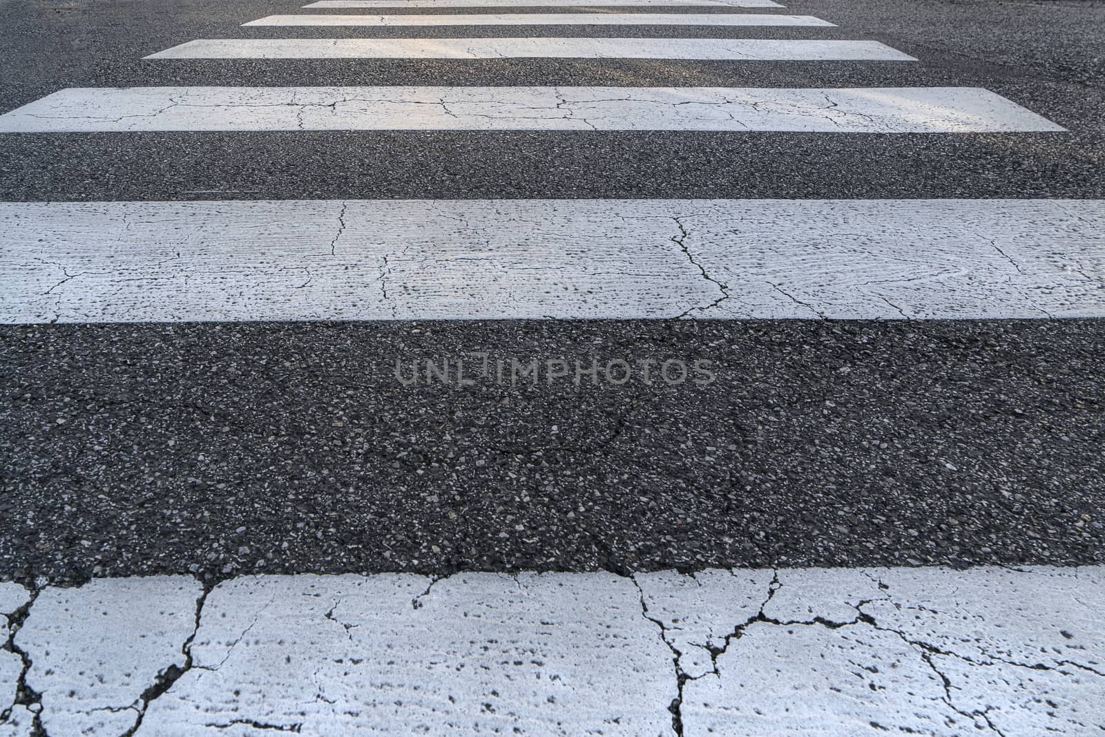 the pedestrian crossing in a street