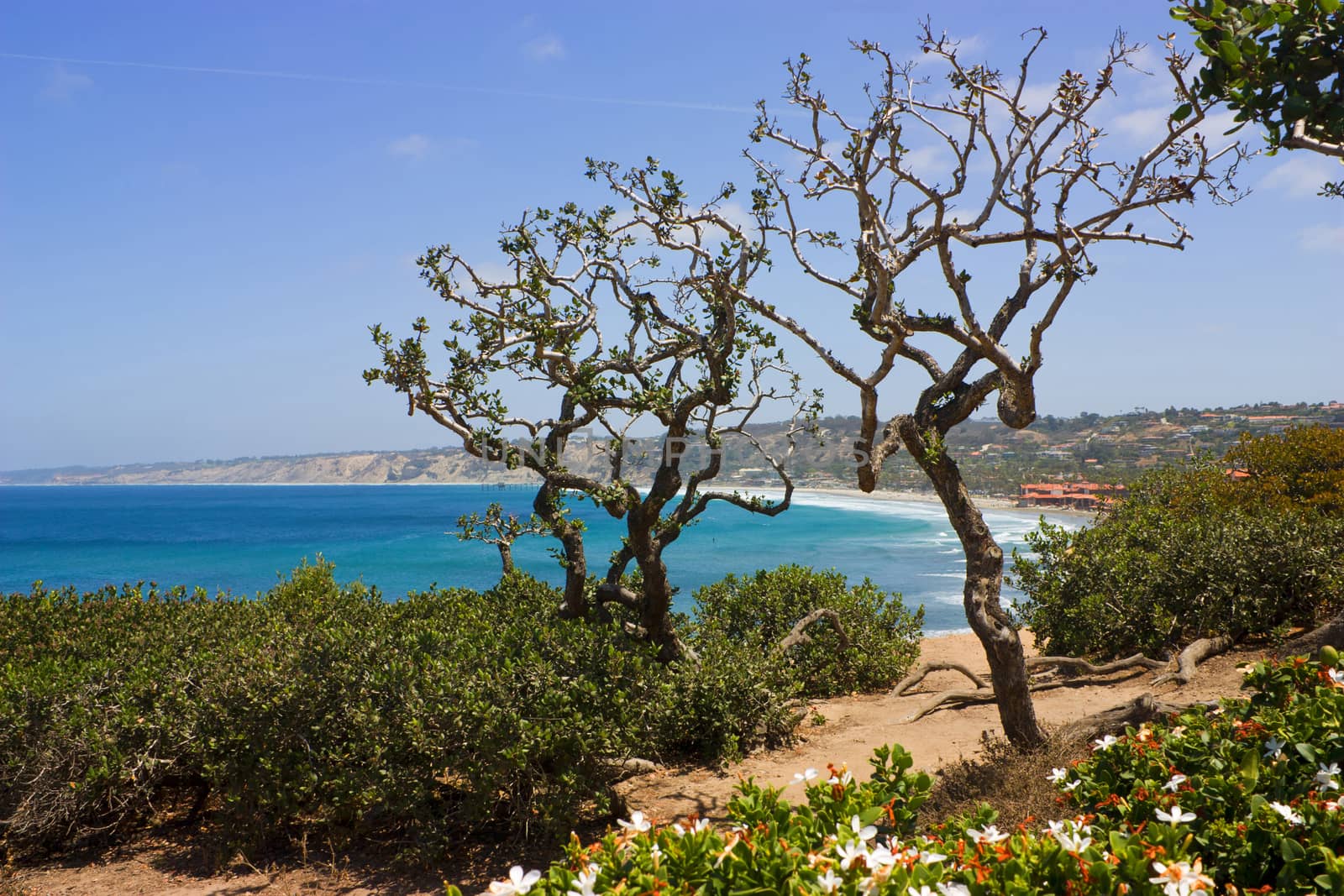 Ocean side suburb of La Jolla, San Diego, California