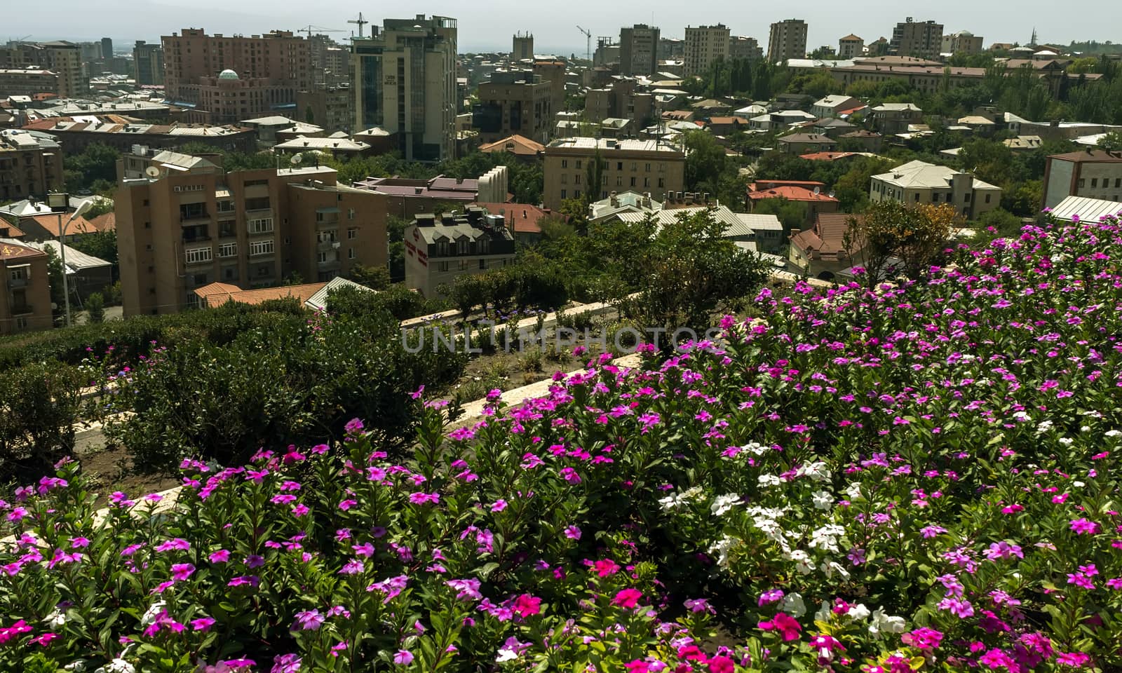 Wiev on city Yerevan,Armenia.