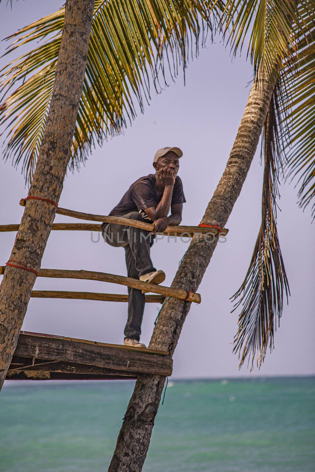 Dominican man looks at the sea 5 by pippocarlot