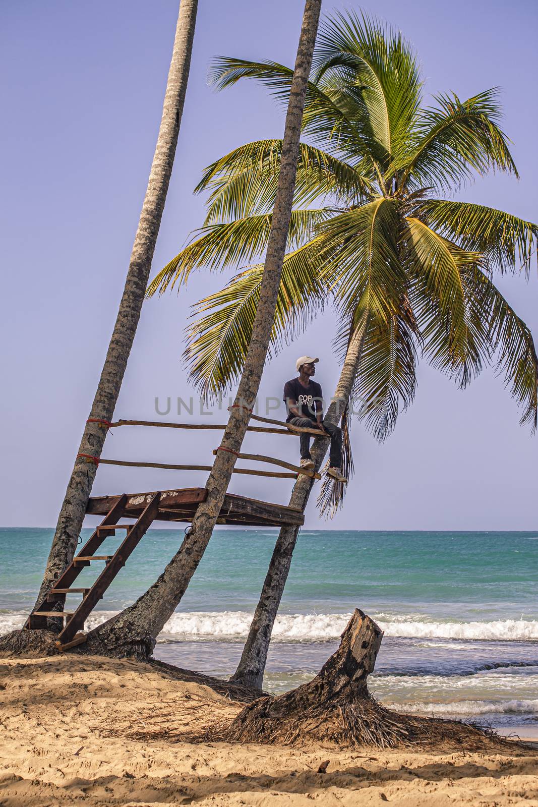 PLAYA LIMON, DOMINICAN REPUBLIC 28 DECEMBER 2019: Dominican man looks at the sea