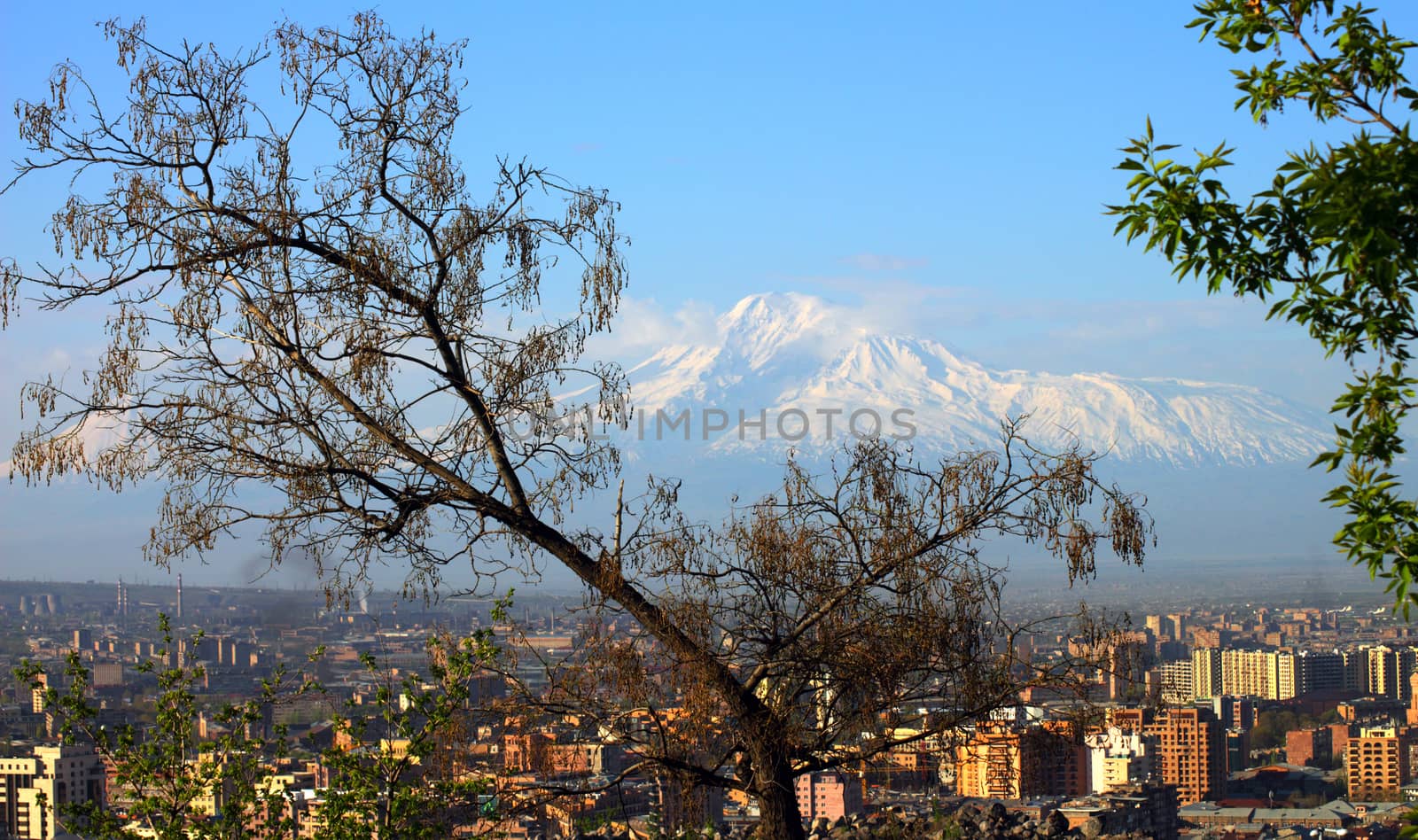 Yerevan city and Mount Ararat,Transcaucasia,Armenia.