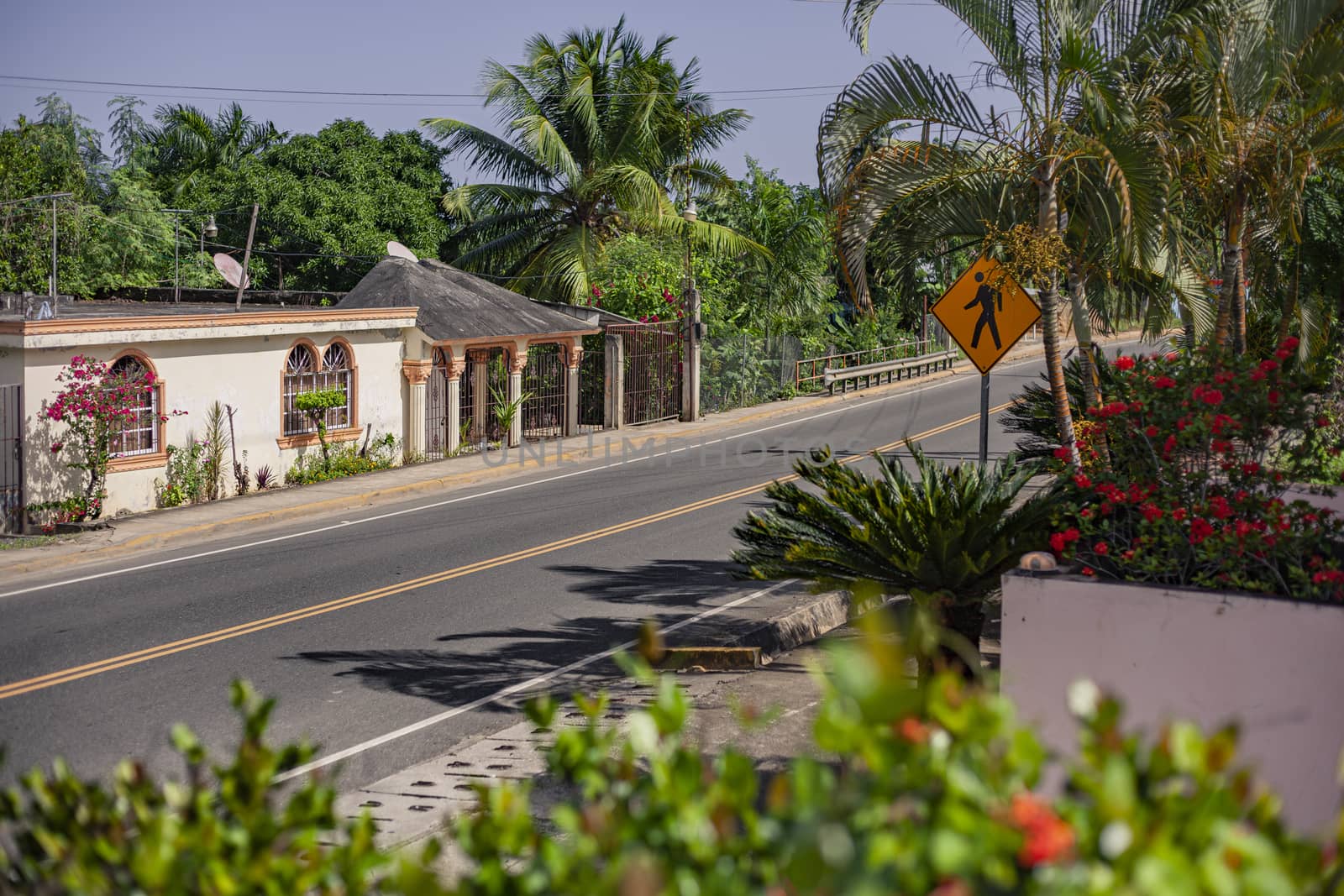 PLAYA LIMON, DOMINICAN REPUBLIC 28 DECEMBER 2019: Country road in Dominican republic