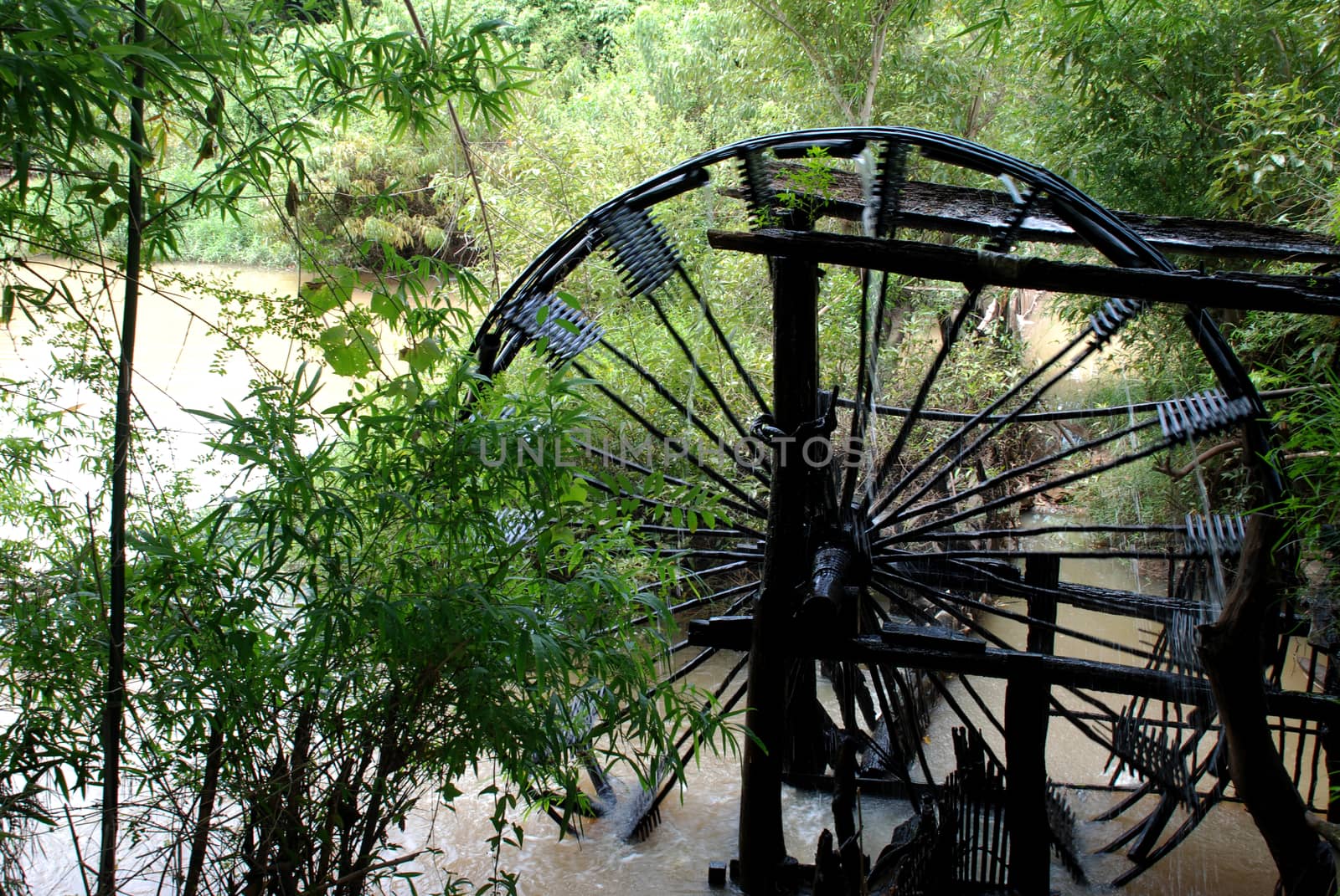 Turbine baler in the river near the bamboo leaves.