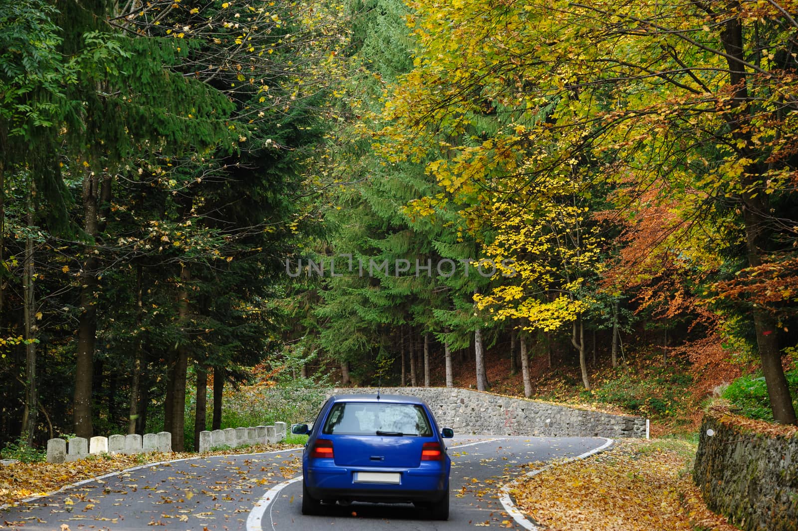 Car in the forest at Transfagarasan road by starush