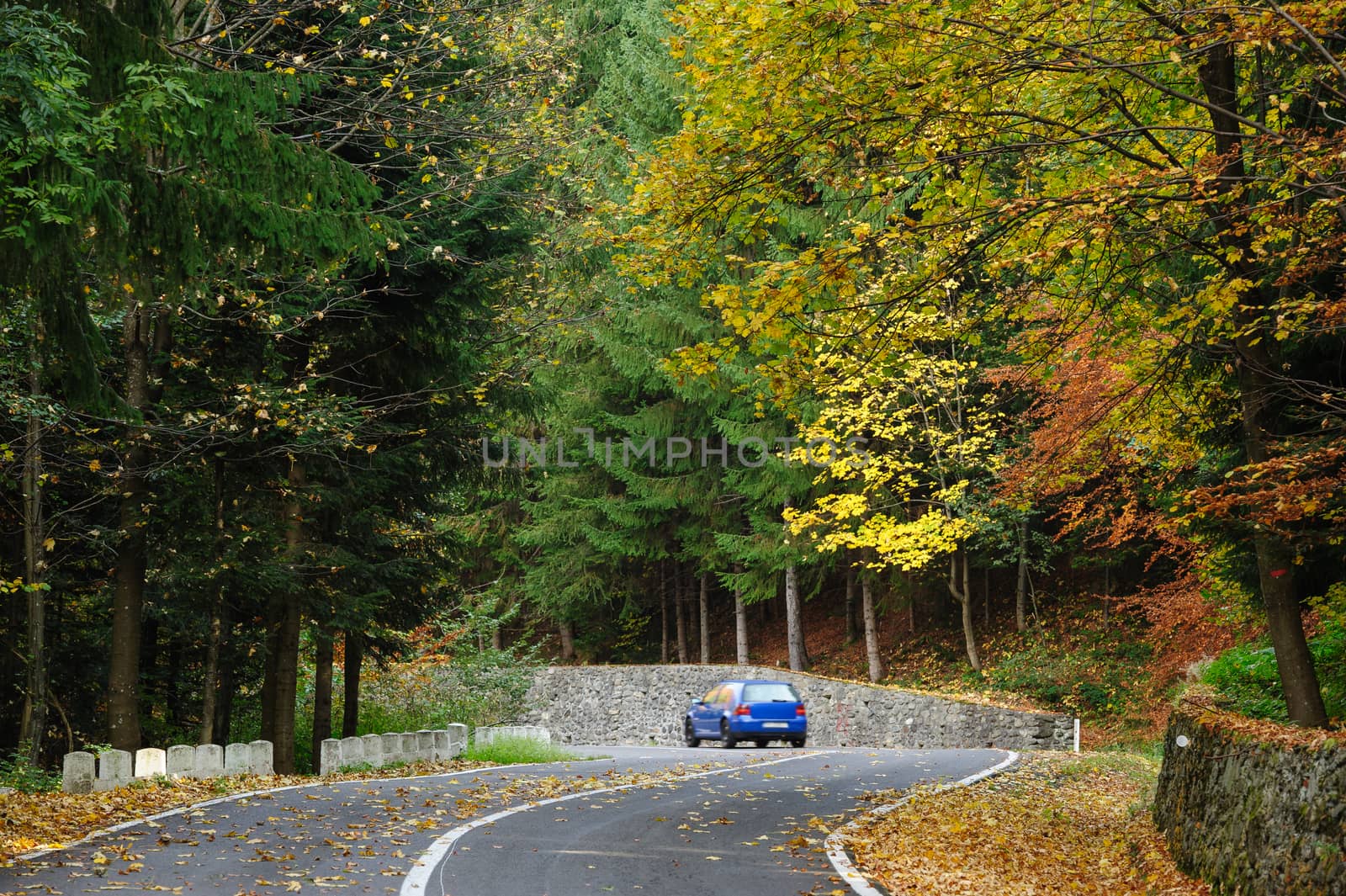 Car in the forest at Transfagarasan road by starush