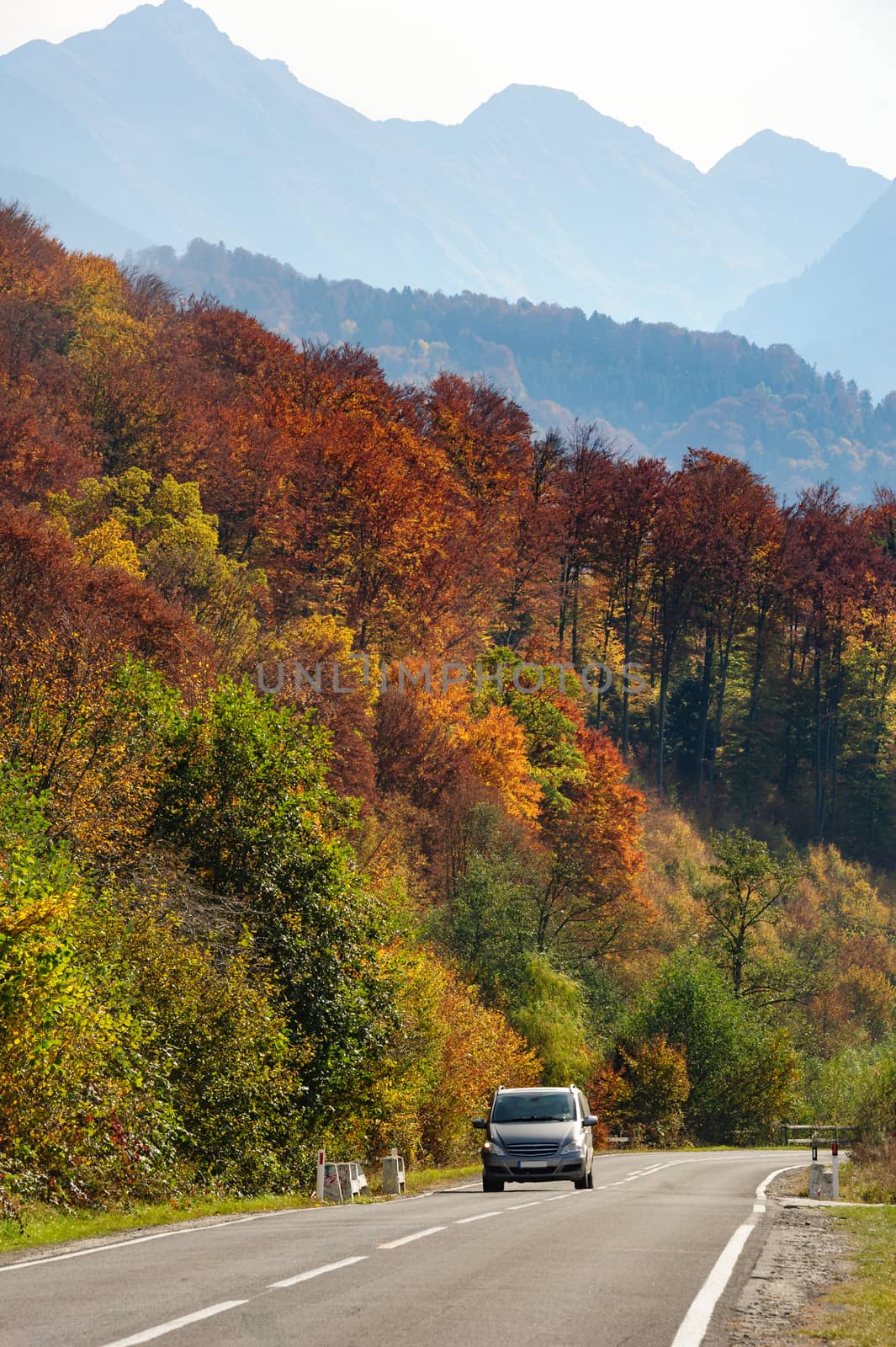 Car in the forest at Transfagarasan road by starush