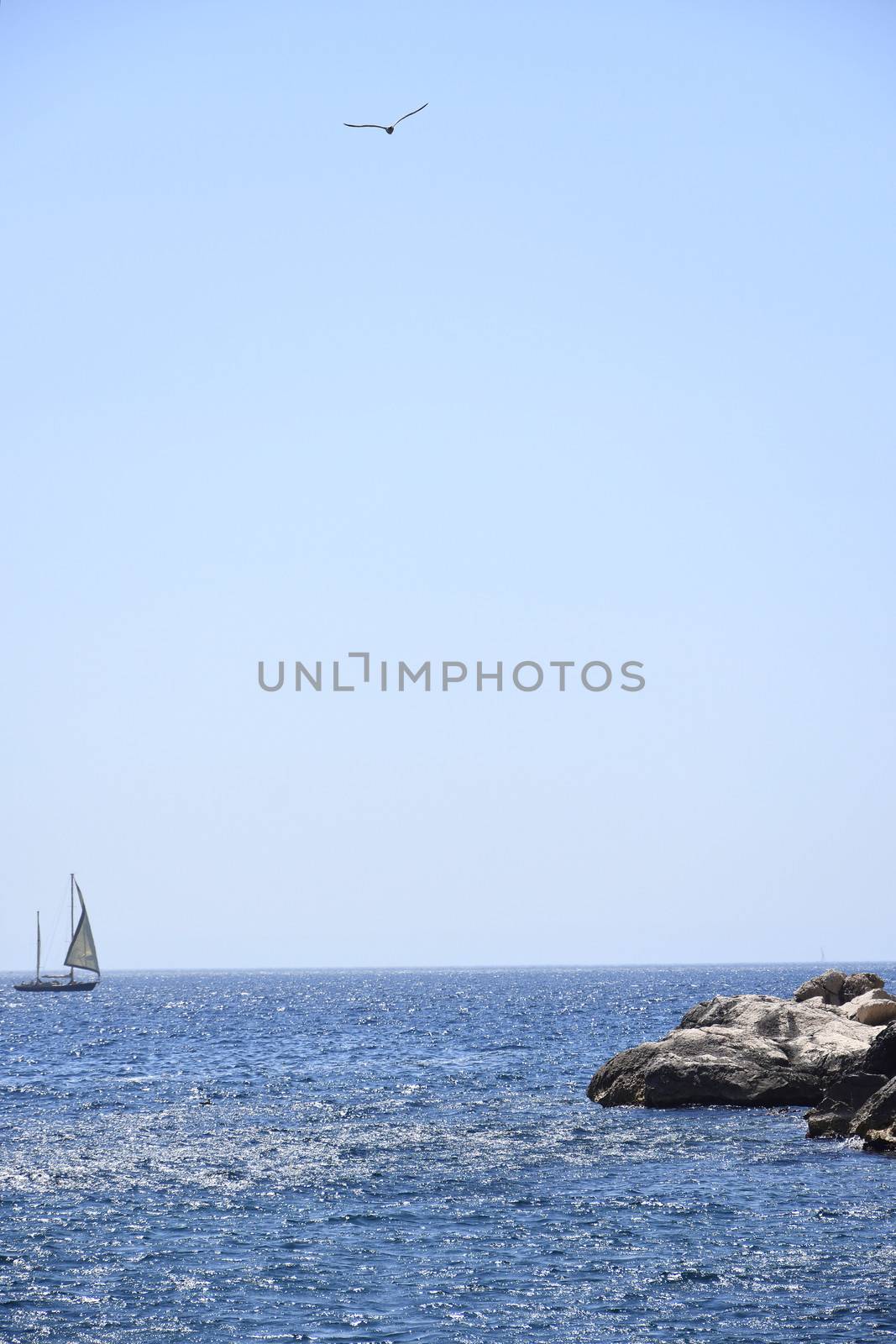 sea ​​trip around the city of Marseille and the creeks, France