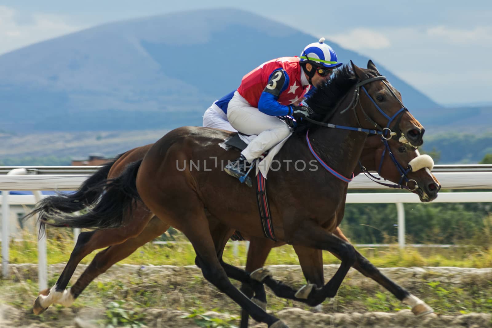 PYATIGORSK,RUSSIA - SEPTEMBER 25,2016:finish horse racing for the "Bolshoi Osenni" in Pyatigorsk, Northern Caucasus,Russia on September 25,2016.