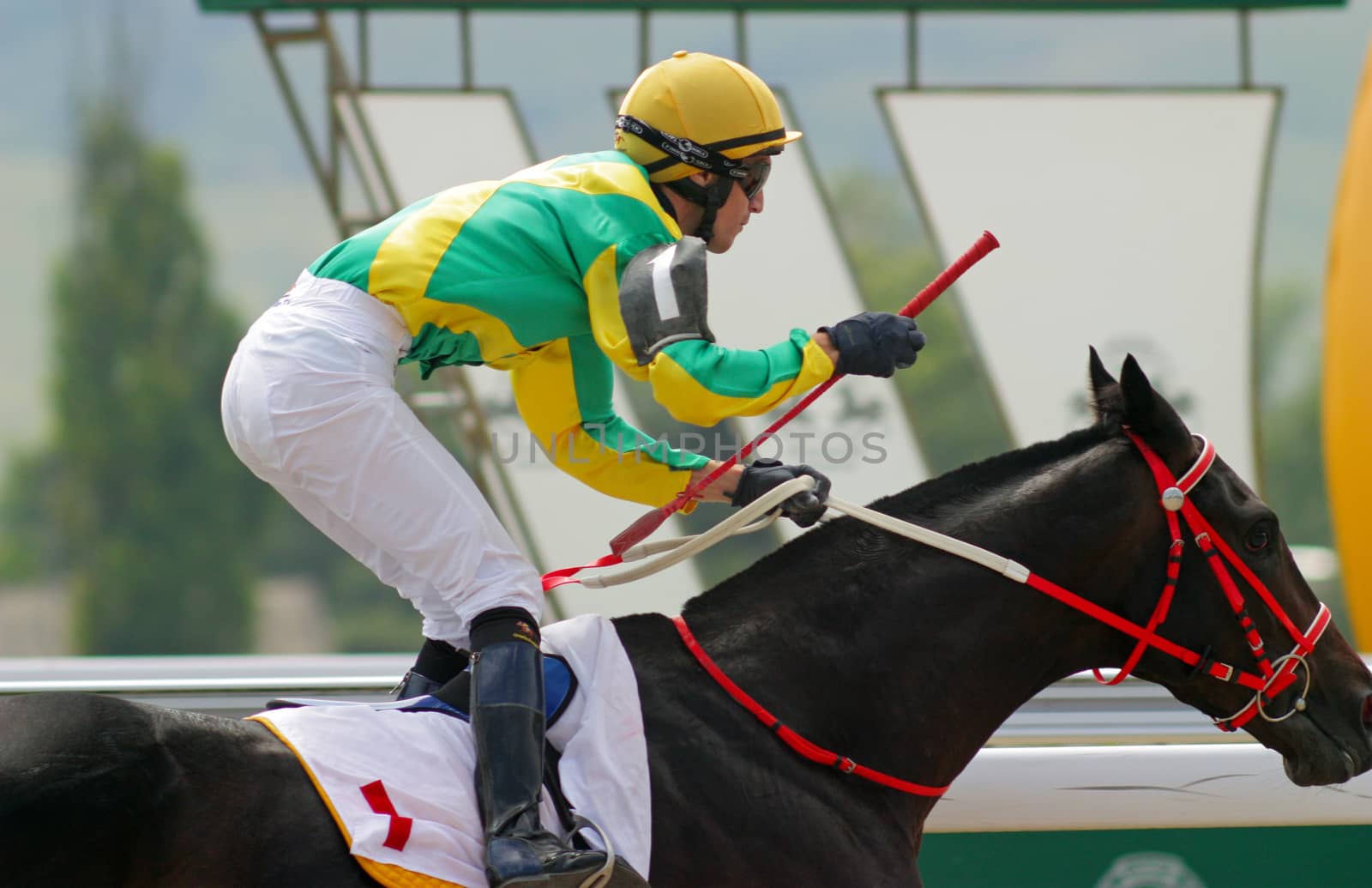 Pyatigorsk,Russia - August 14,2011: Horse race for the  Letni prize of the oldest racecourses in Russia.   Ahead - jockey Timur Guseinov on August 14,2011.