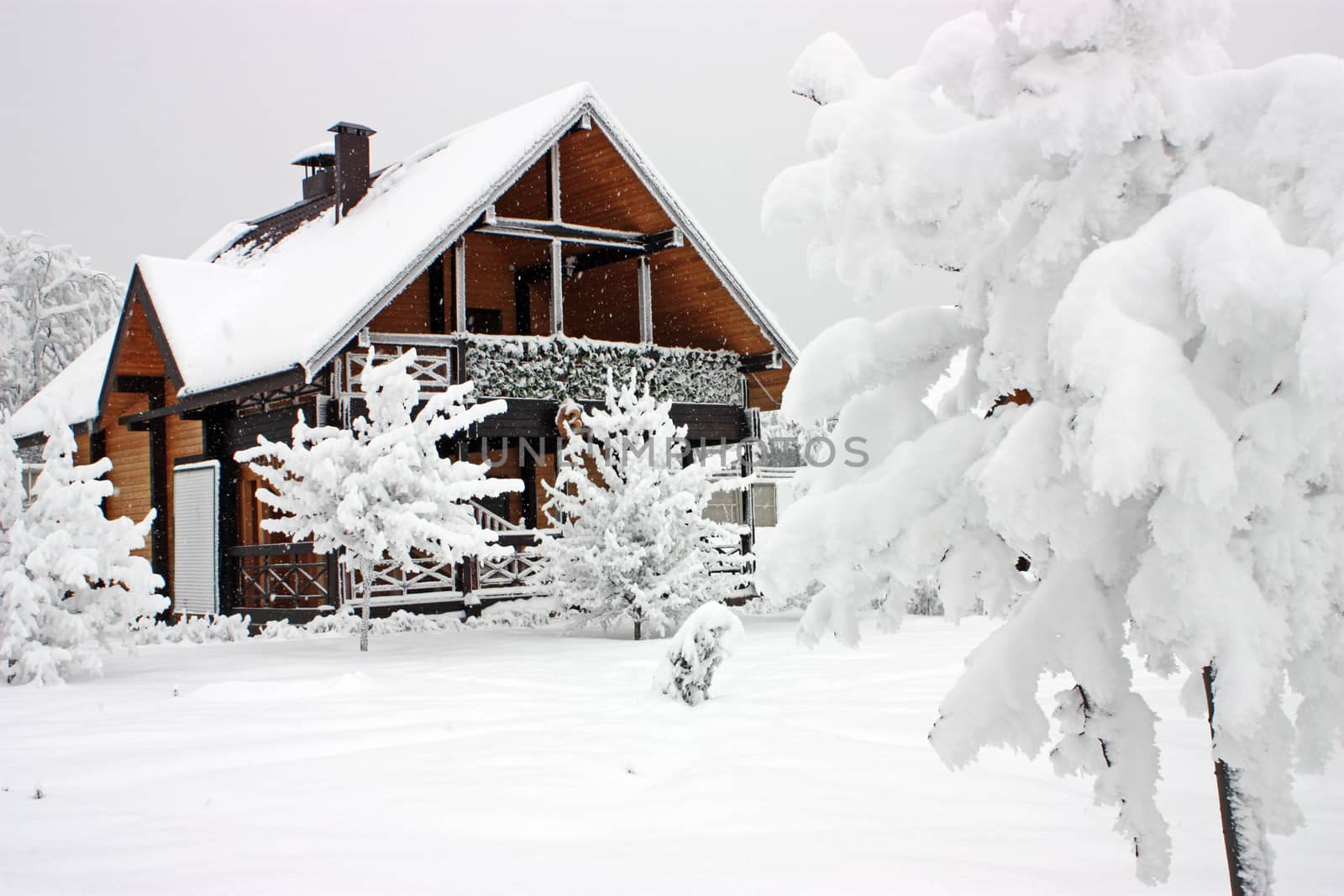 View of beautiful winter landscape with snow house
