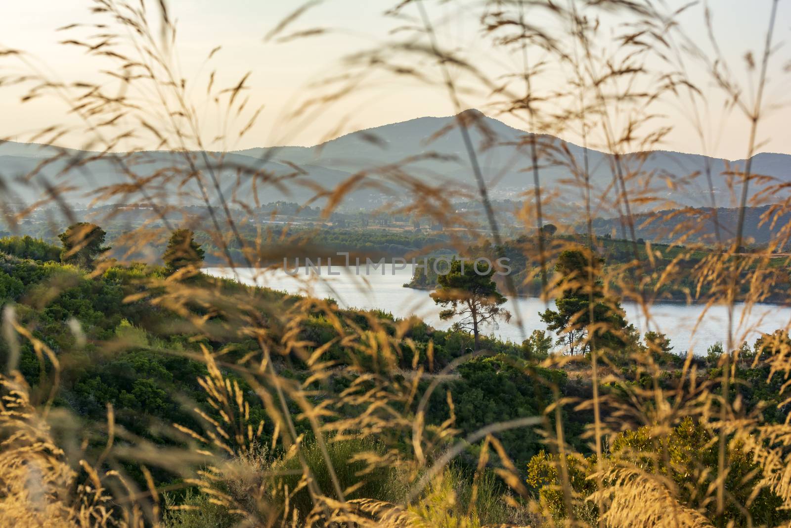 Lake Marathon on a autumn evening, Attica, Greece by ankarb