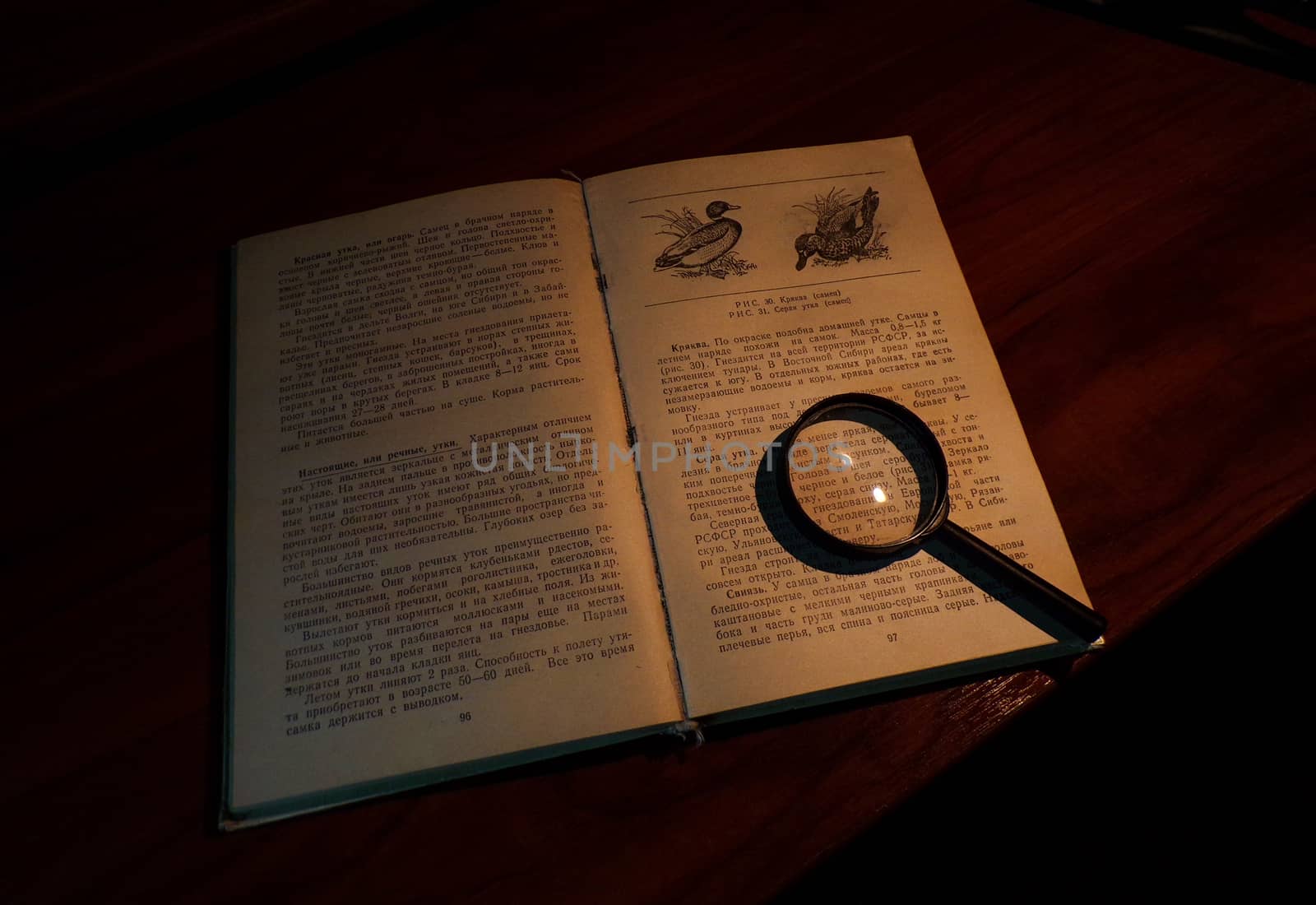 A book on the table with a magnifying glass. Reading of books.