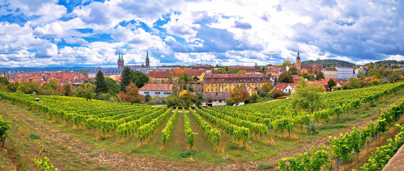 Bamberg. Town of Bamberg panoramic view from Michaelsberg vineya by xbrchx