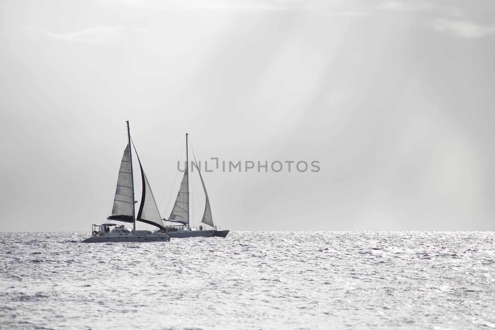 BAYAHIBE, DOMINICAN REPUBLIC 4 JANUARY 2020: Dominican boats in sea