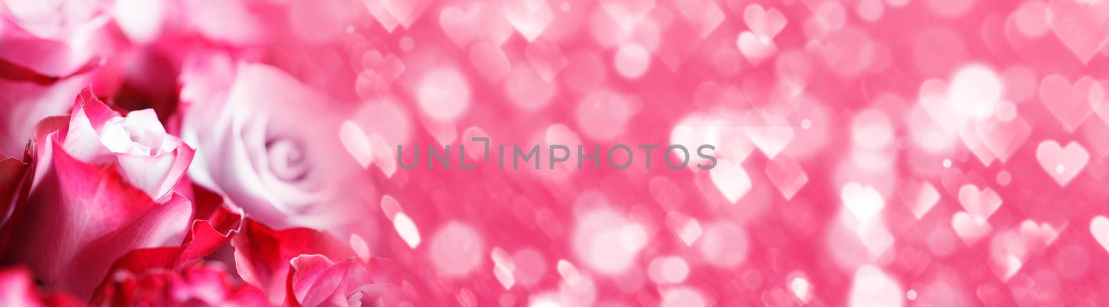 Pink rose flowers background by Yellowj