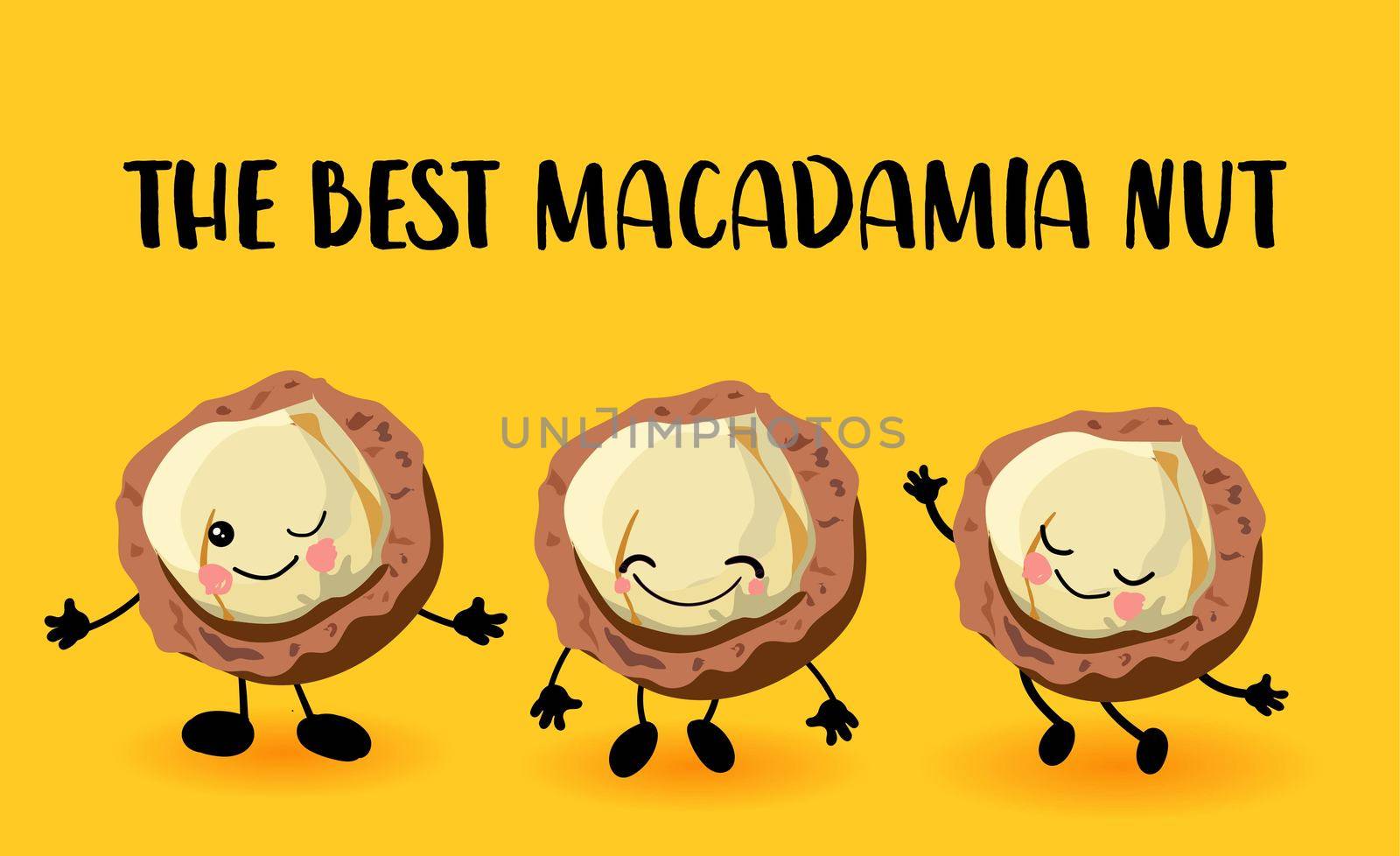 Macadamia nut character. Greeting card or logo yellow bright background. Useful and fresh food. Vegetarianism and vegans