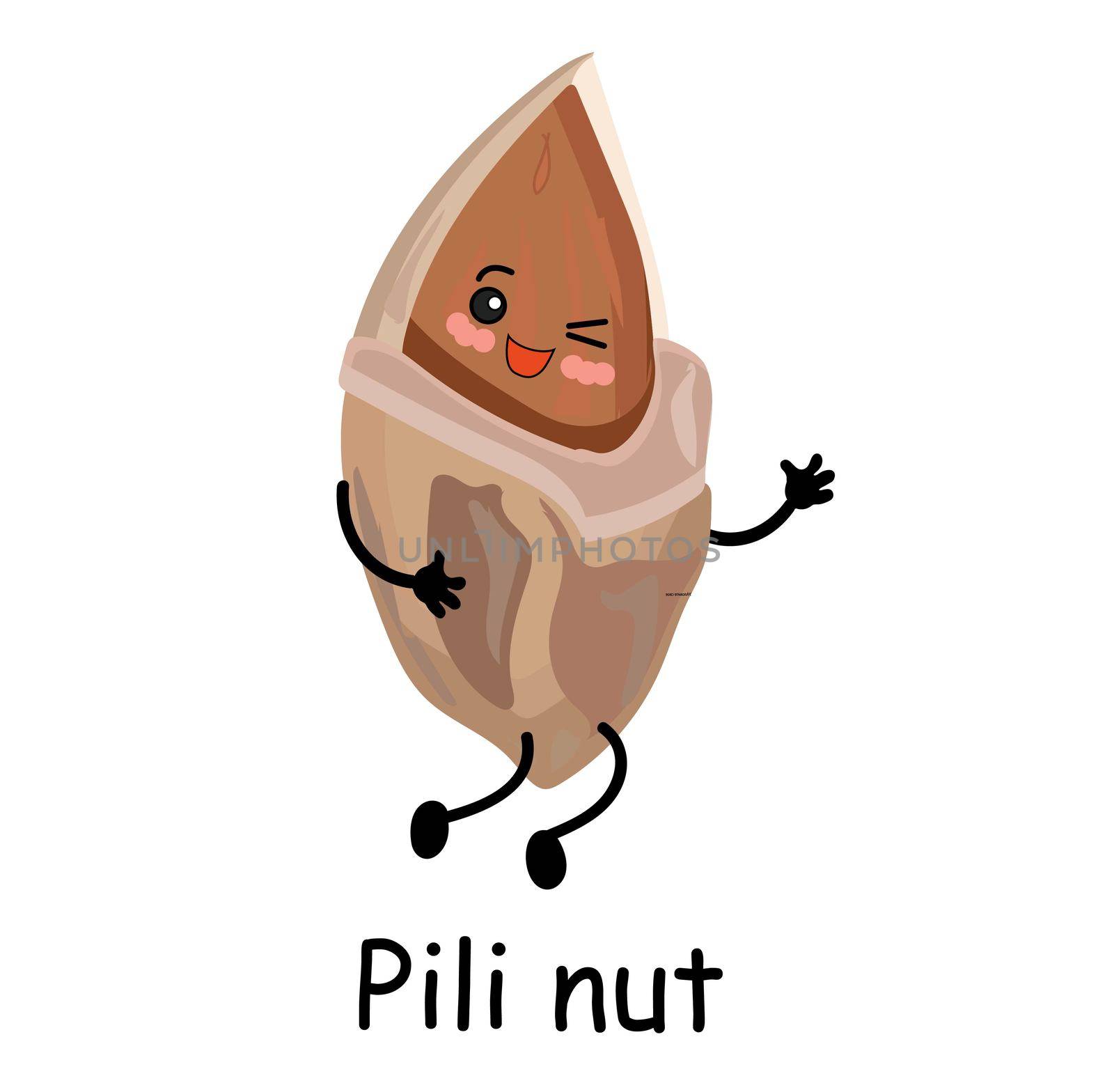 Hawaiian Pili nut. Exotic products. Cute character with arms and legs.
