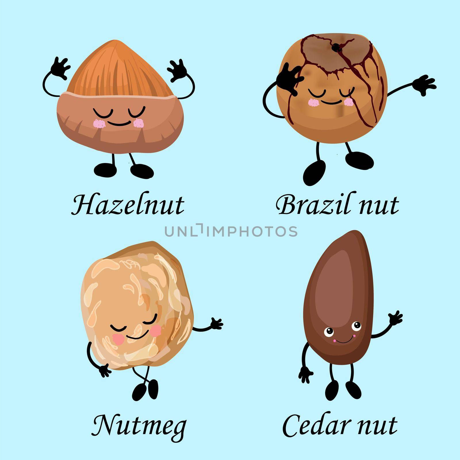collection of nuts characters. Healthy foods. Vegetarianism and healthy food. Hazelnuts, Brazil nuts, pine nuts, nutmegs.