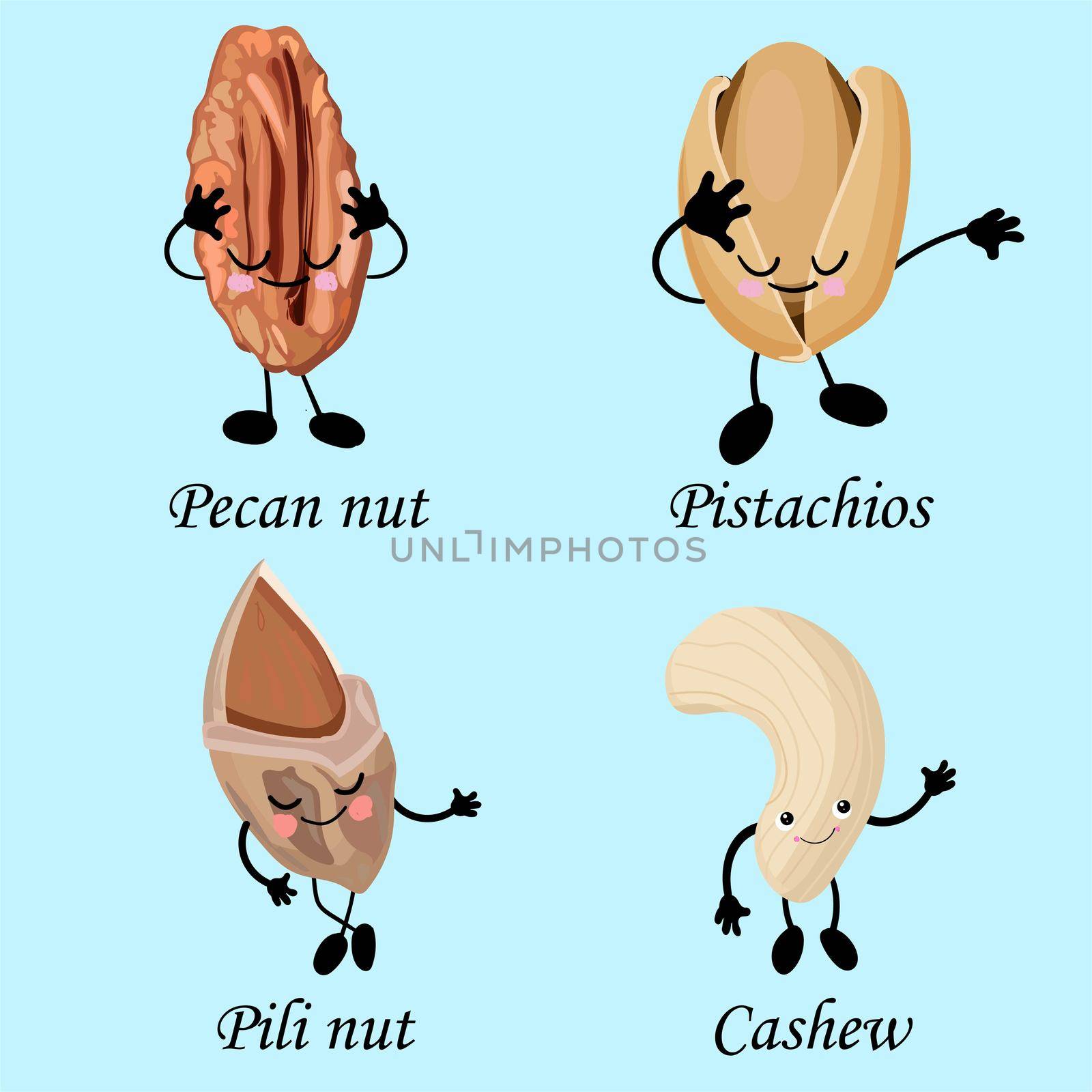 collection of nuts characters. Healthy foods. Vegetarianism and healthy food. Cashews, pistachios, pecans.