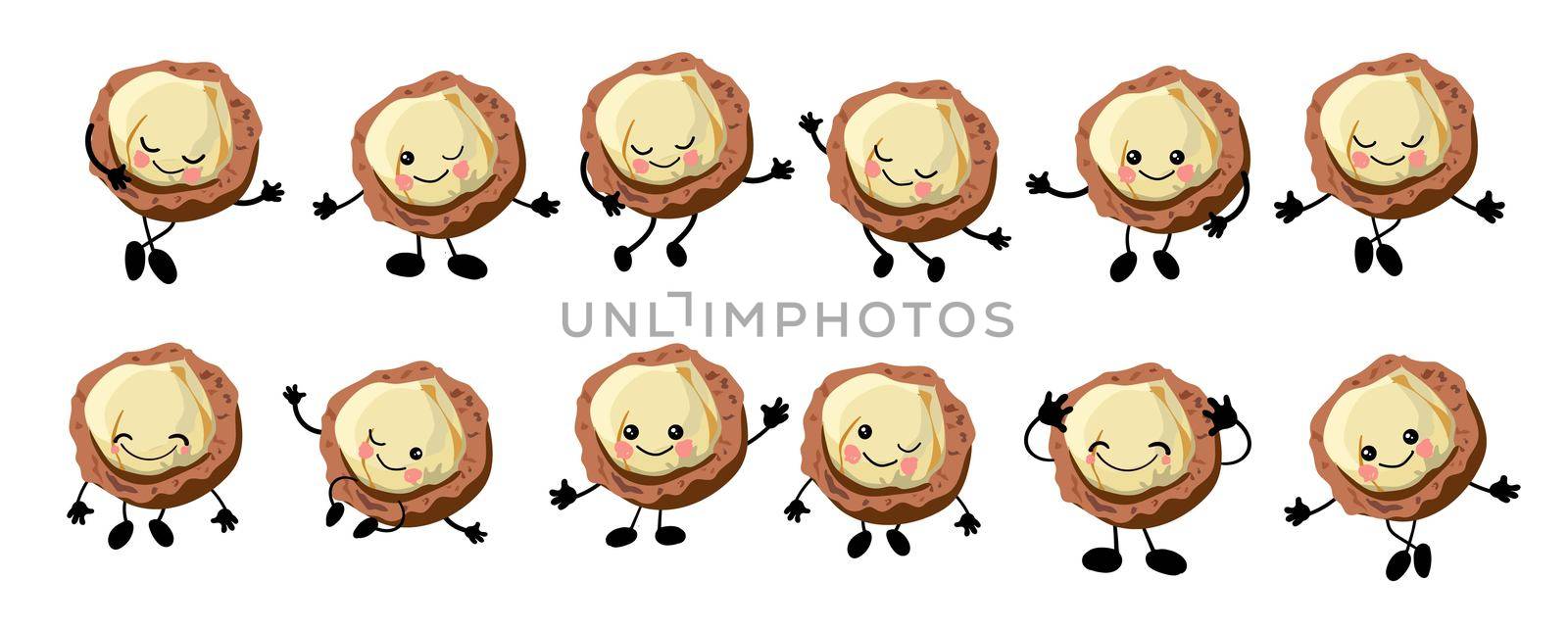 Macadamia nut. a large set of Cute Nuts characters with hands and eyes. Cartoon fruit or vegetable. Useful vegan food. Isolated on white backgroun
