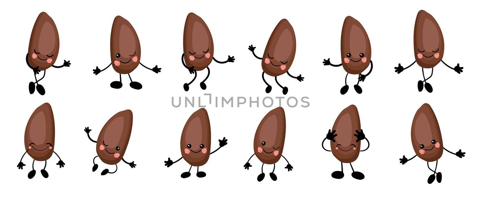 Cedar nut. a large set of Cute Nuts characters with hands and eyes. Cartoon fruit or vegetable. Useful vegan food. Isolated on white background.