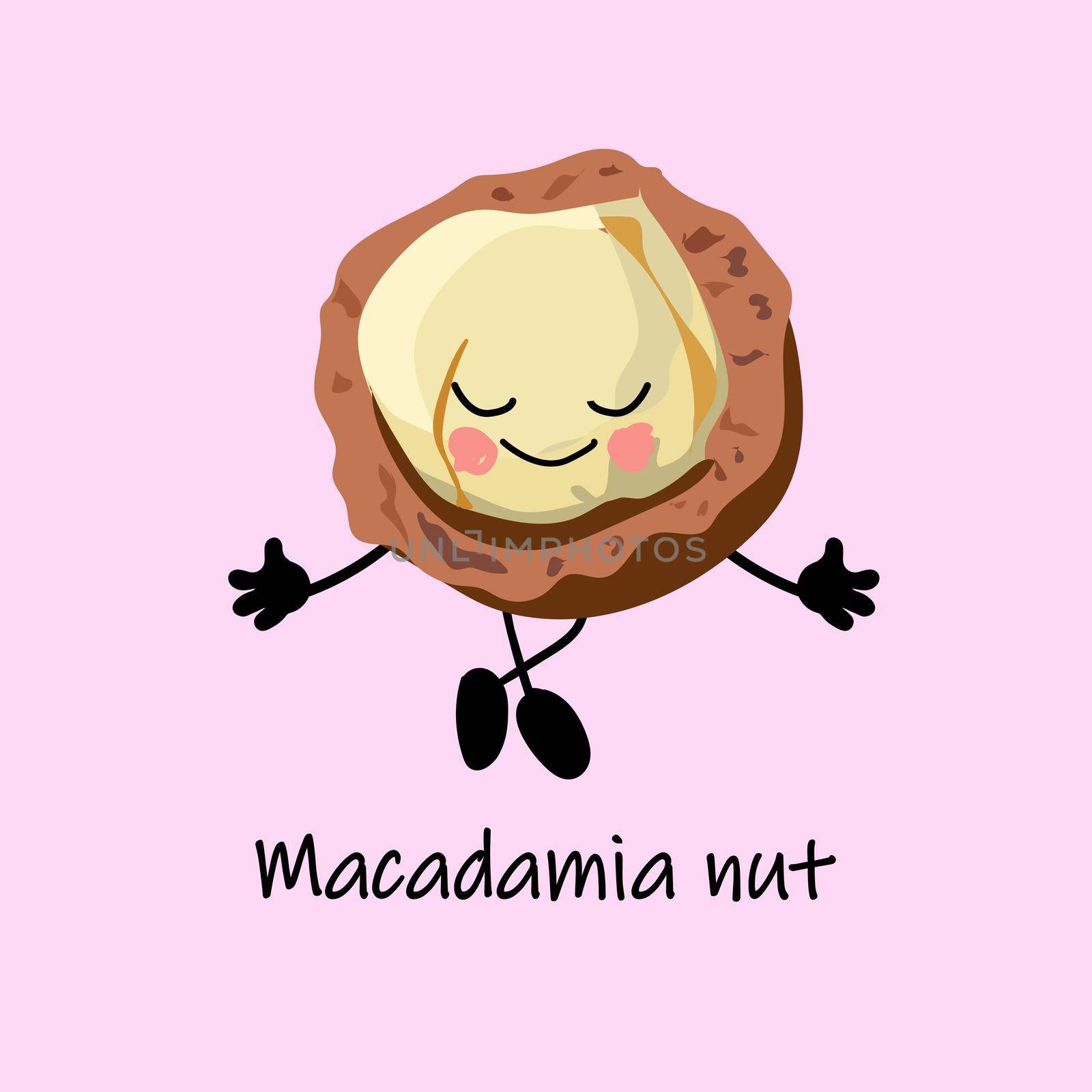 collection of nuts characters. Healthy foods. Vegetarianism and healthy food. Macadamia nut cartoon character.