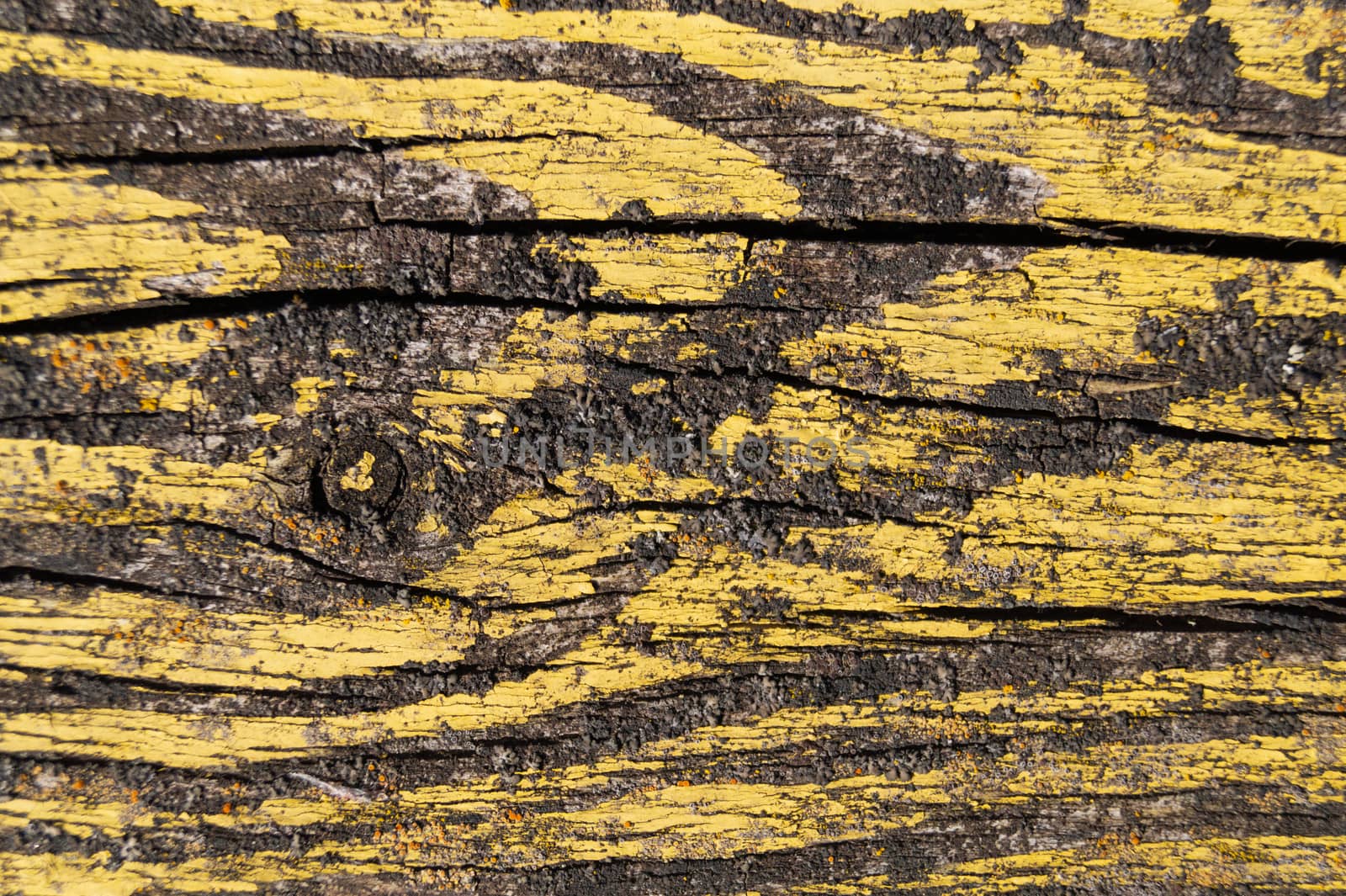 A part of old yellow wooden fence. The yellow paint on wood is old and cracked. Perfect painted wooden texture.