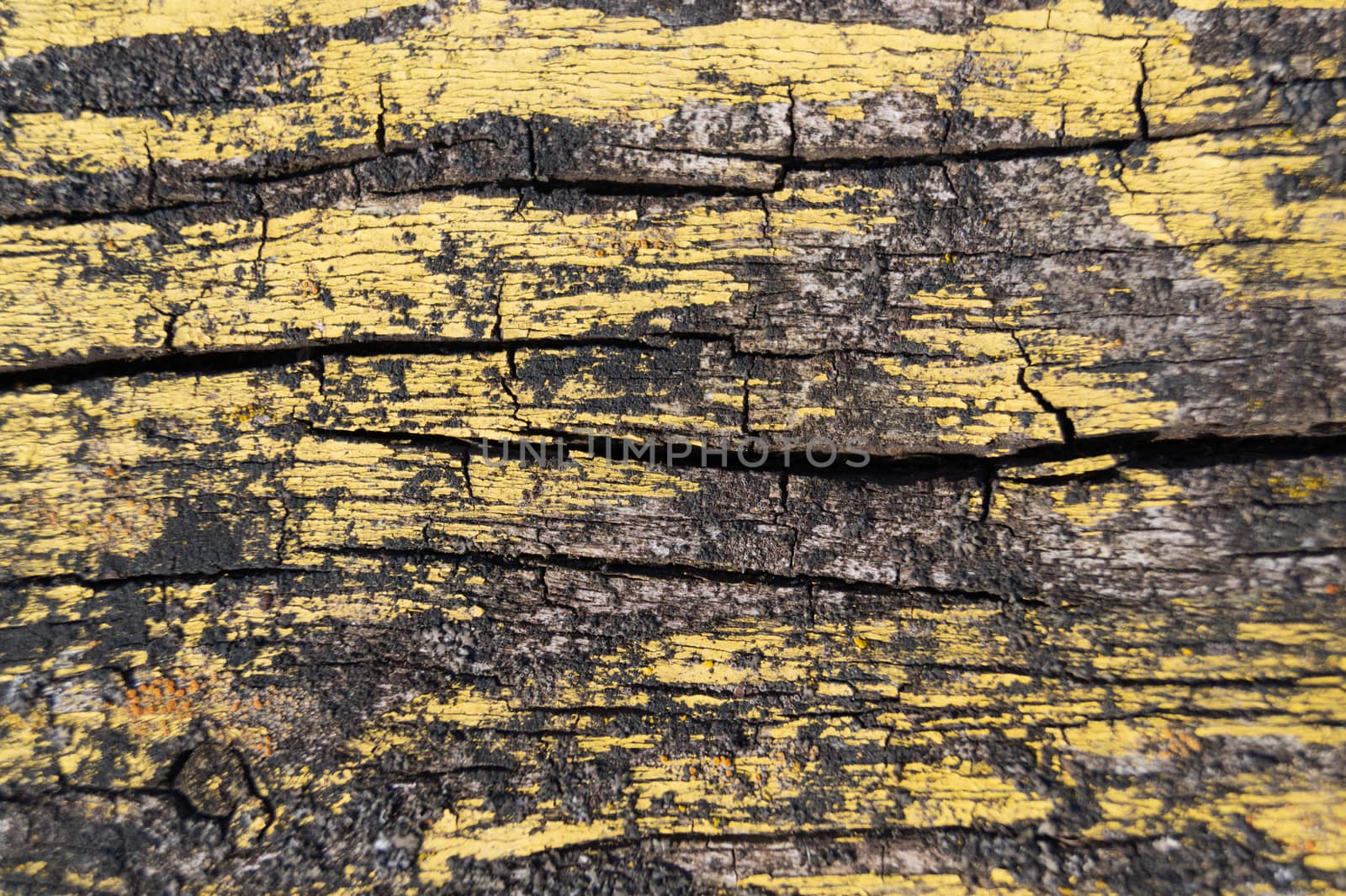 A part of old yellow wooden fence. The yellow paint on wood is old and cracked. Perfect painted wooden texture.