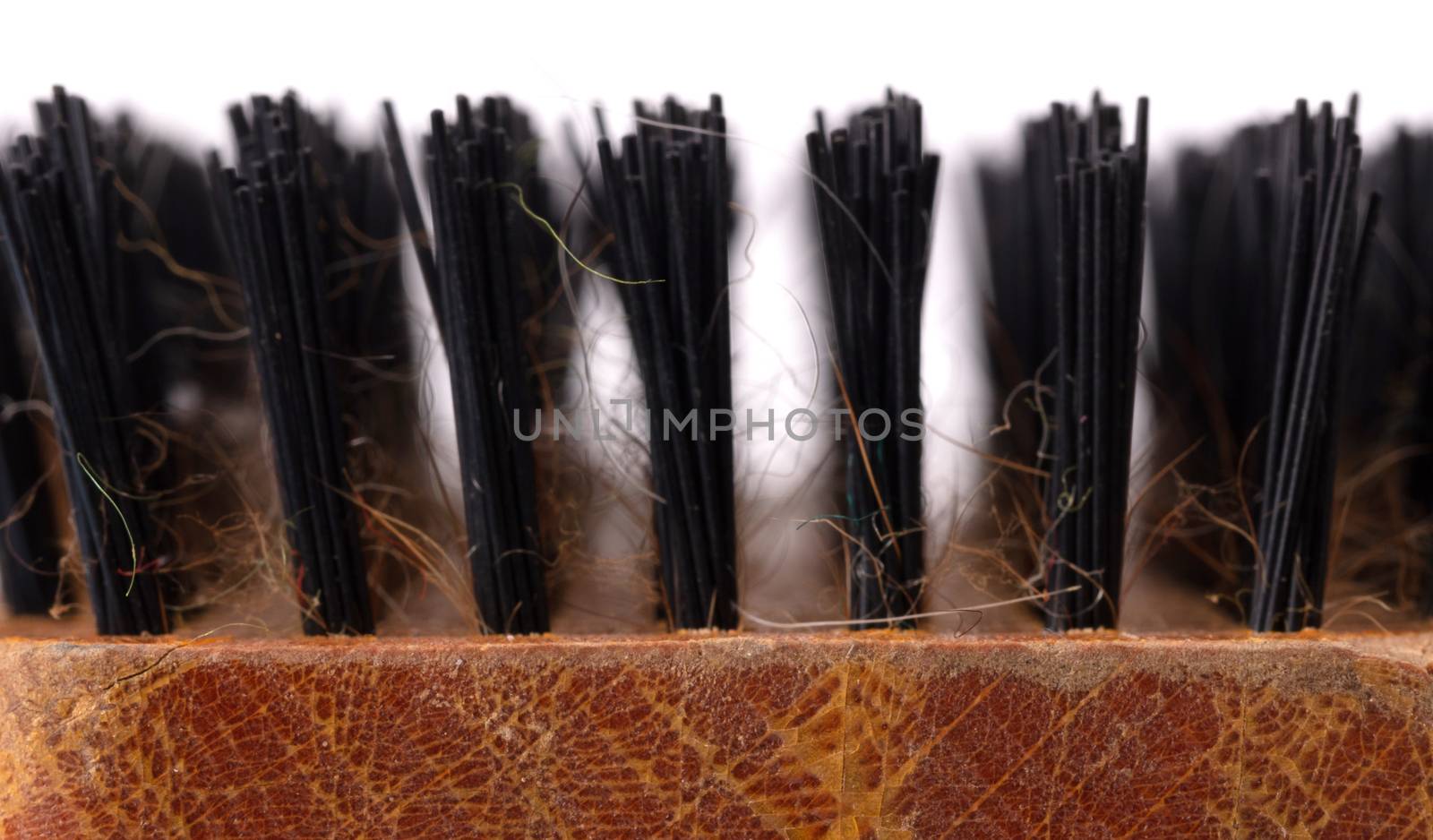 Old brush for dog or cat hair, used - Isolated on white