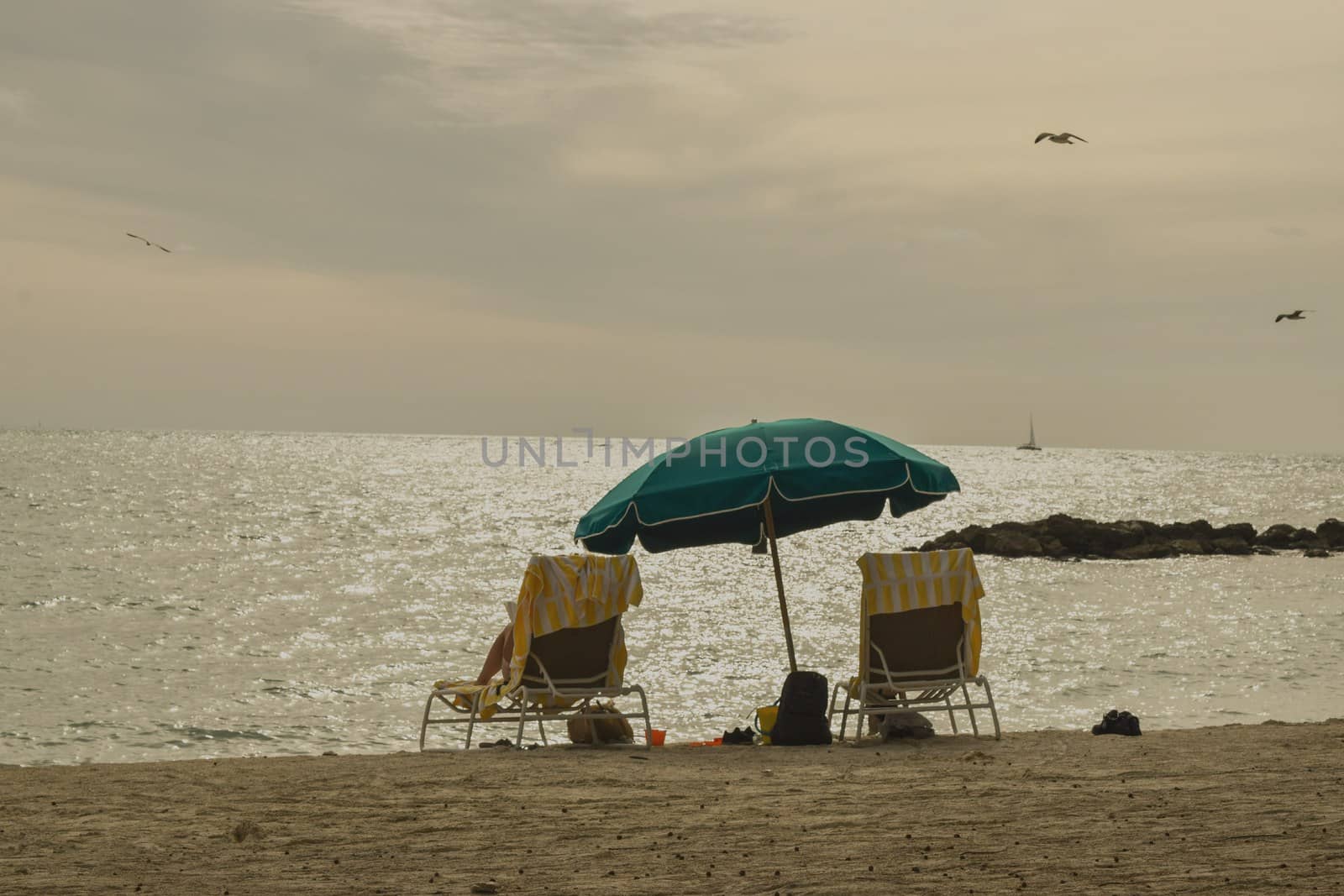 Chairs on the Beach With Parasol Against Sunset sky With Birds