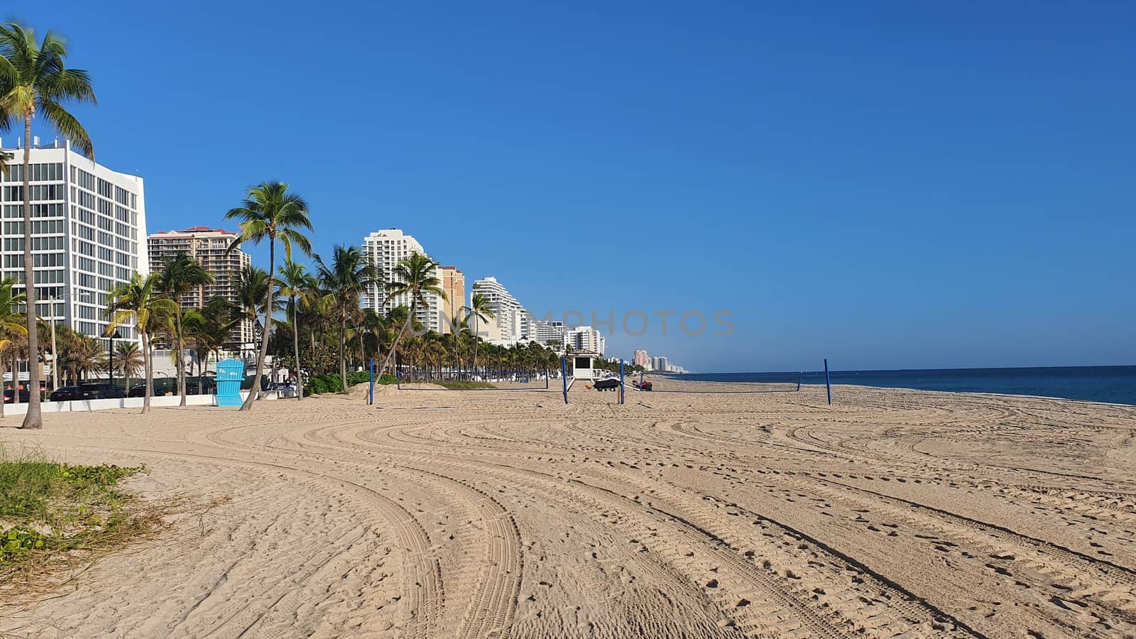Sandy Beach of Fort Lauderdale With Blue Sky and Palm Tree by TheDutchcowboy