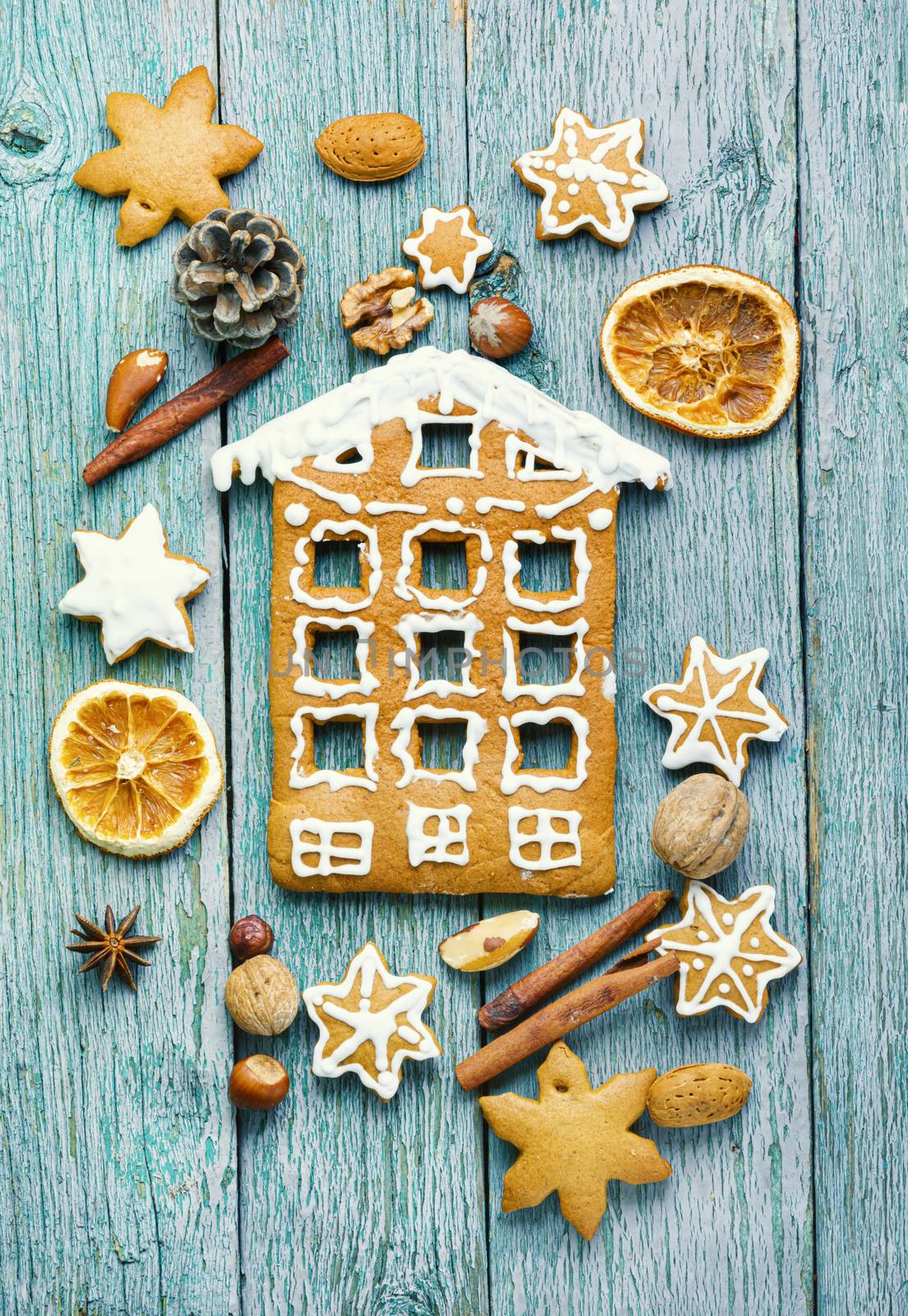 Homemade christmas gingerbread house by LMykola