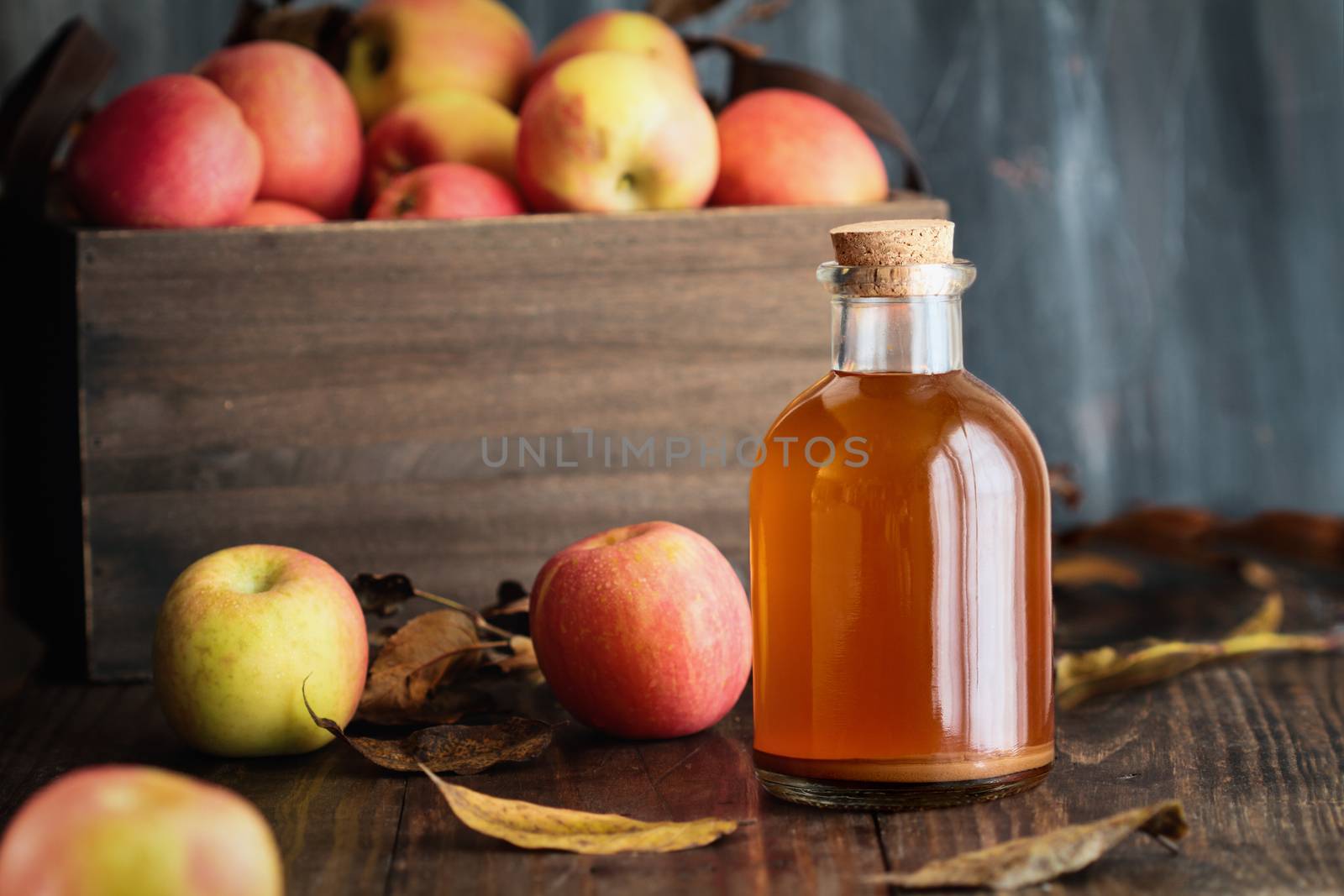 Apple Cider Vinegar with Fresh Apples by StephanieFrey