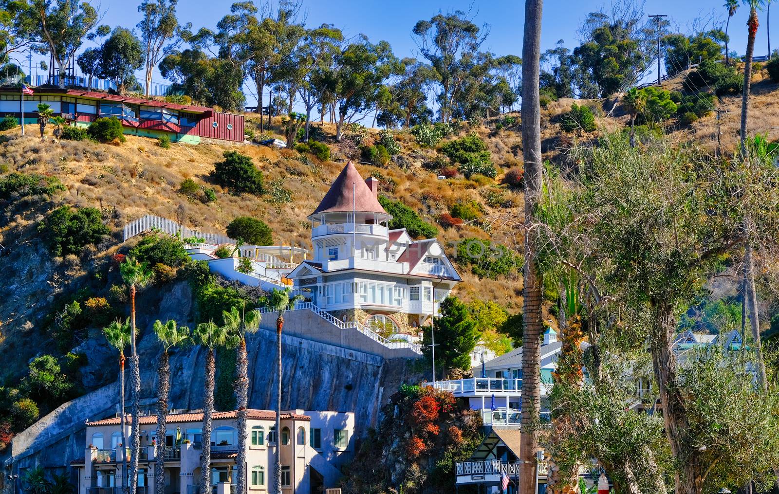 Resorts on Hill Above Avalon on Catalina Island