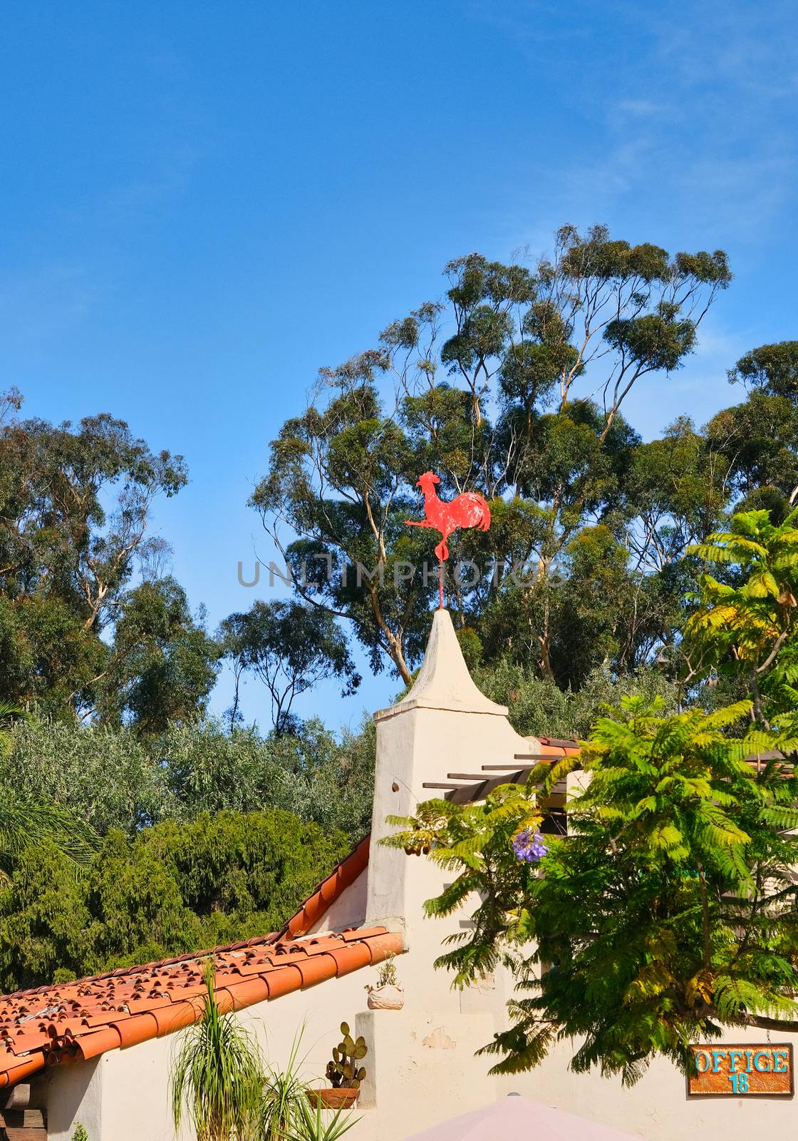 Rooster Windvane on Building Among Trees