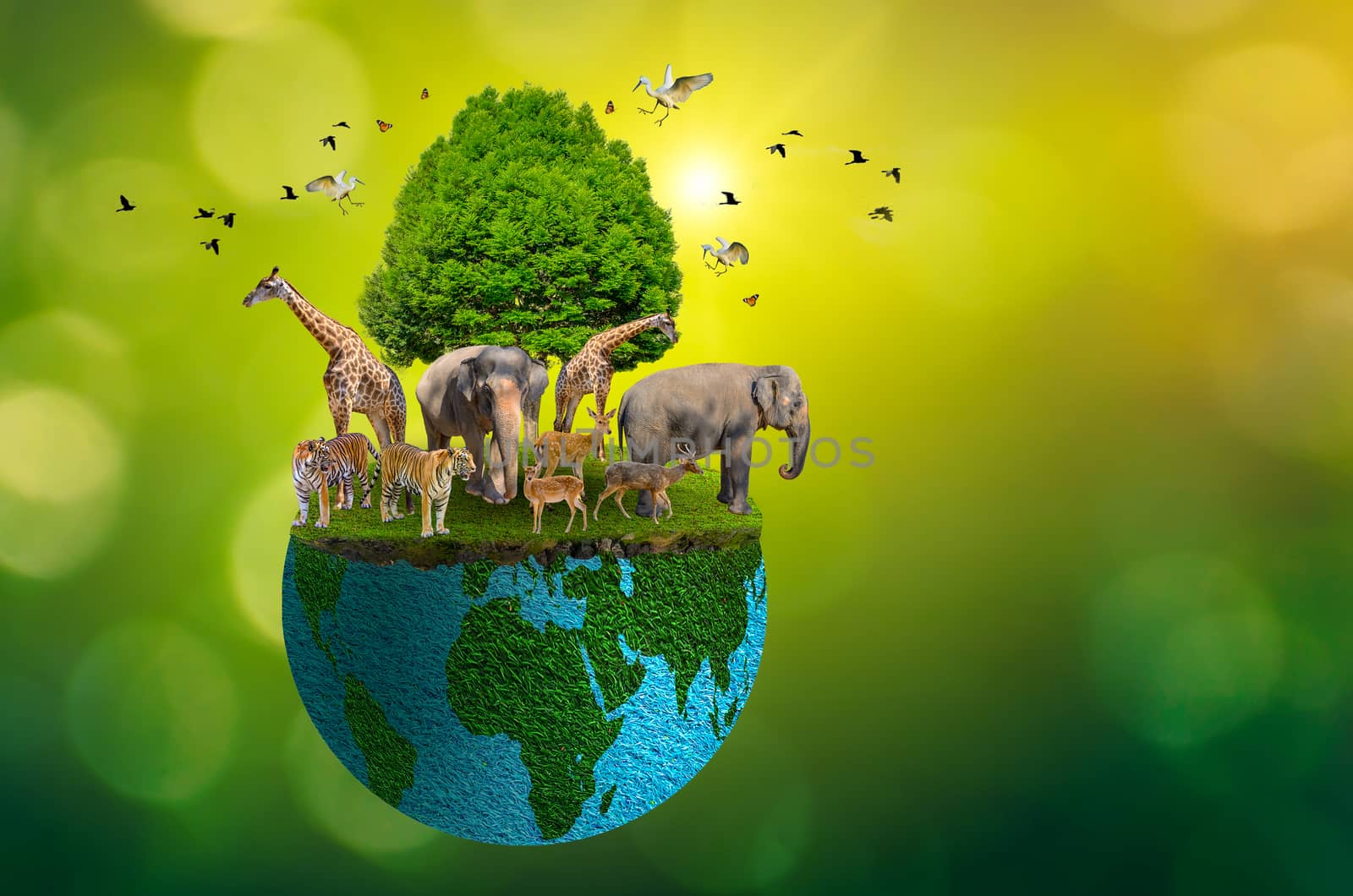 Concept Nature reserve conserve Wildlife reserve tiger Deer Global warming Food Loaf Ecology Human hands protecting the wild and wild animals tigers deer, trees in the hands green background Sun light by sarayut_thaneerat