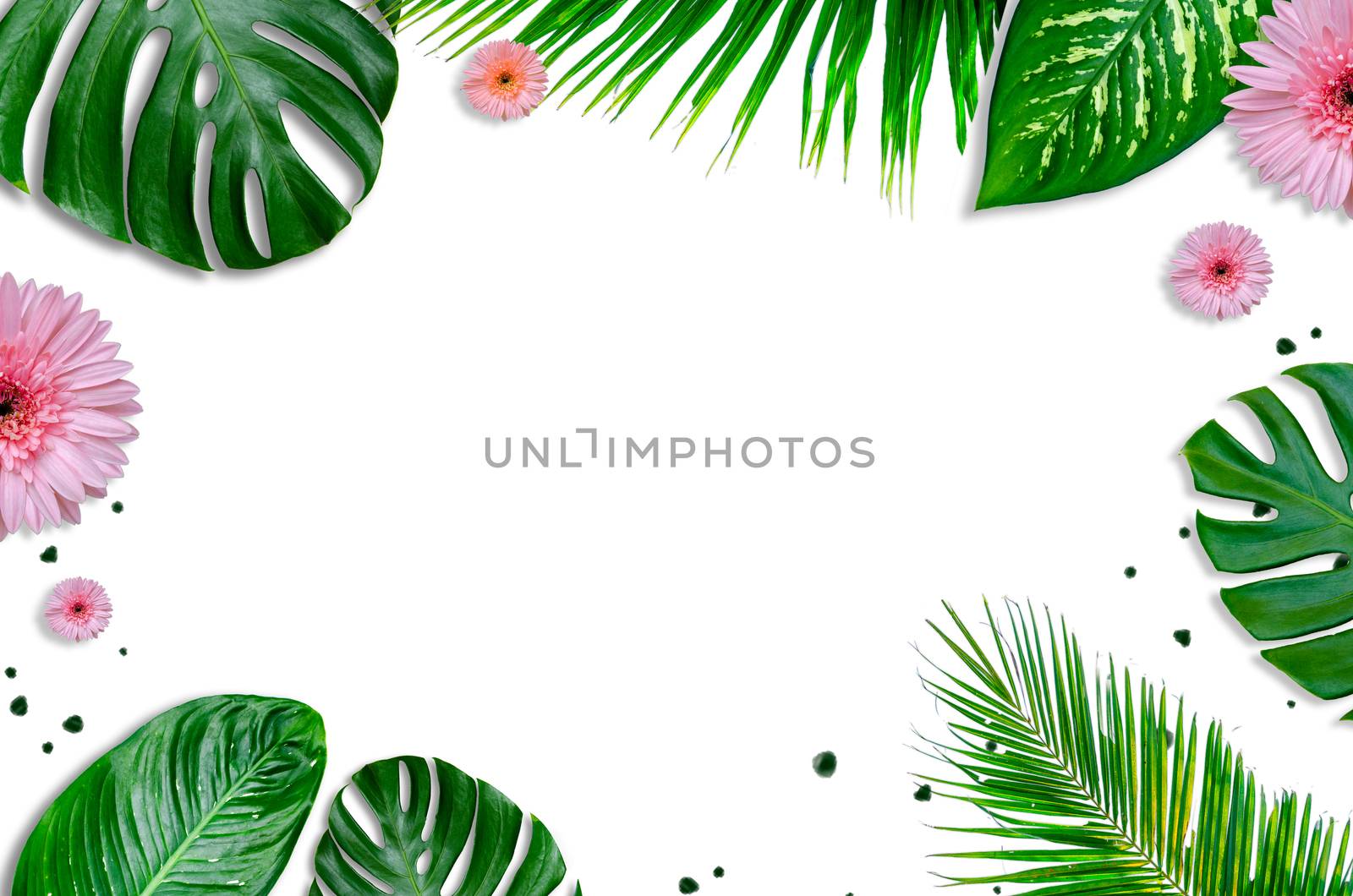 leaves background white with green leaves and flowers flatlay