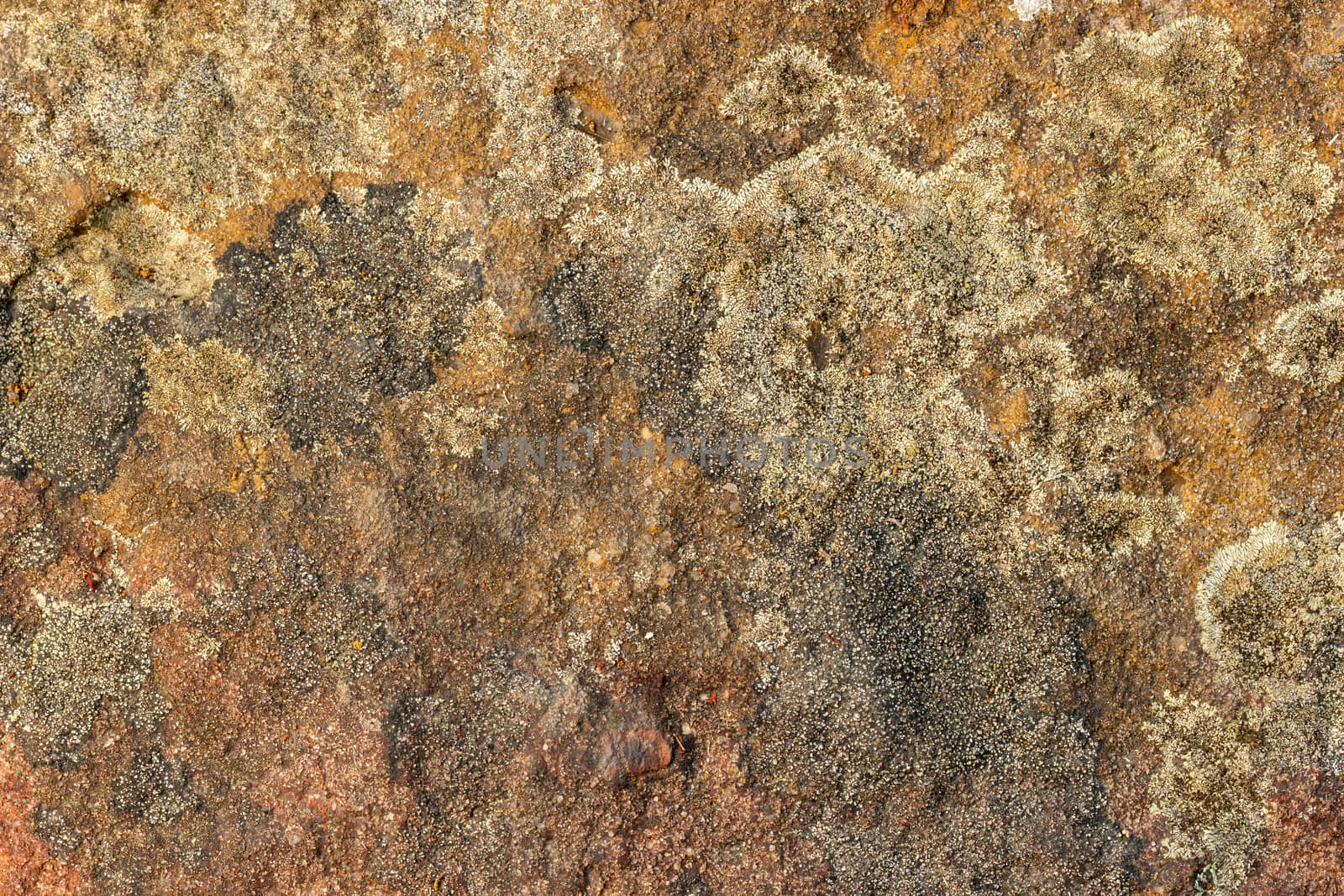 Texture of the rock. Stone texture background. Closeup and copy space. The patterns are created with nature.