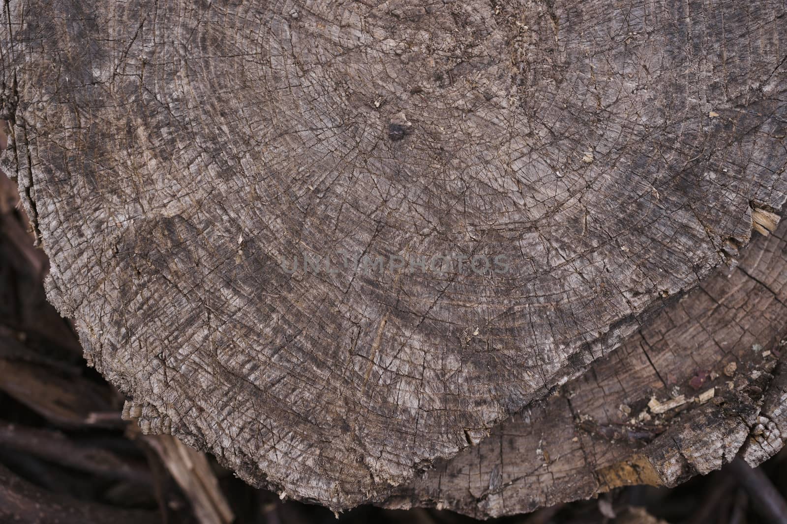 Old wooden texured surface closeup. Moss and relief on surface. Stock photo of old wooden pattern of aged boards with moss. Brown and gray colors on photo.