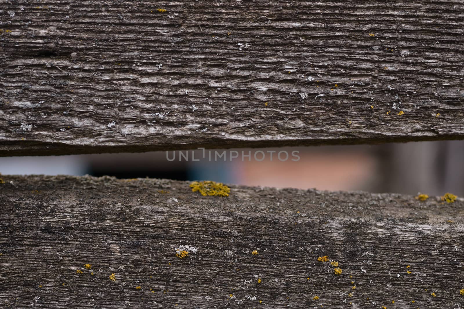 Old wooden texured surface closeup. Moss and relief on surface. Stock photo of old wooden pattern of aged boards with moss. Brown and gray colors on photo.