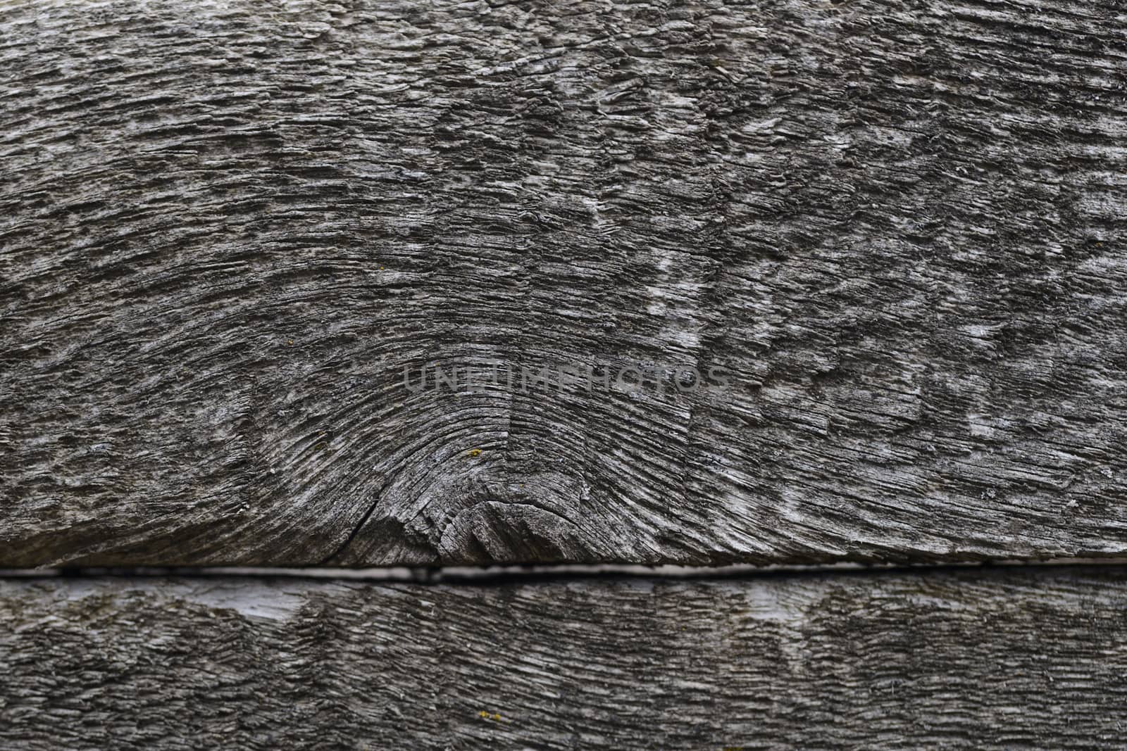 Old wooden texured surface closeup. Moss and relief on surface. Stock photo of old wooden pattern of aged boards with moss. Brown and gray colors on photo.