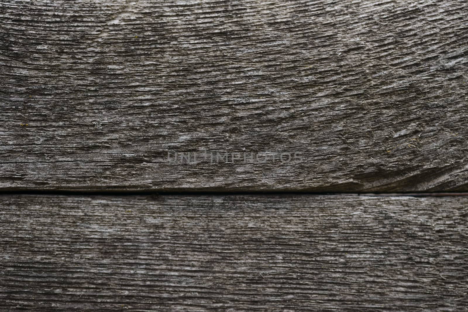 Old wooden texured surface closeup. Moss and relief on surface. Stock photo of old wooden pattern of aged boards with moss. Brown and gray colors on photo.