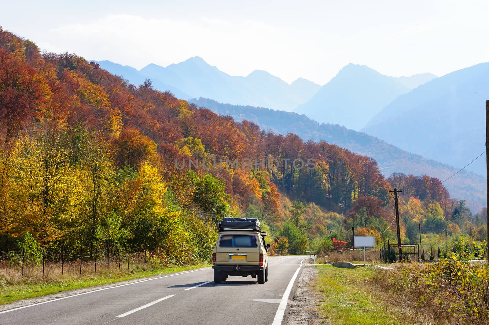 Car in the forest at Transfagarasan road by starush